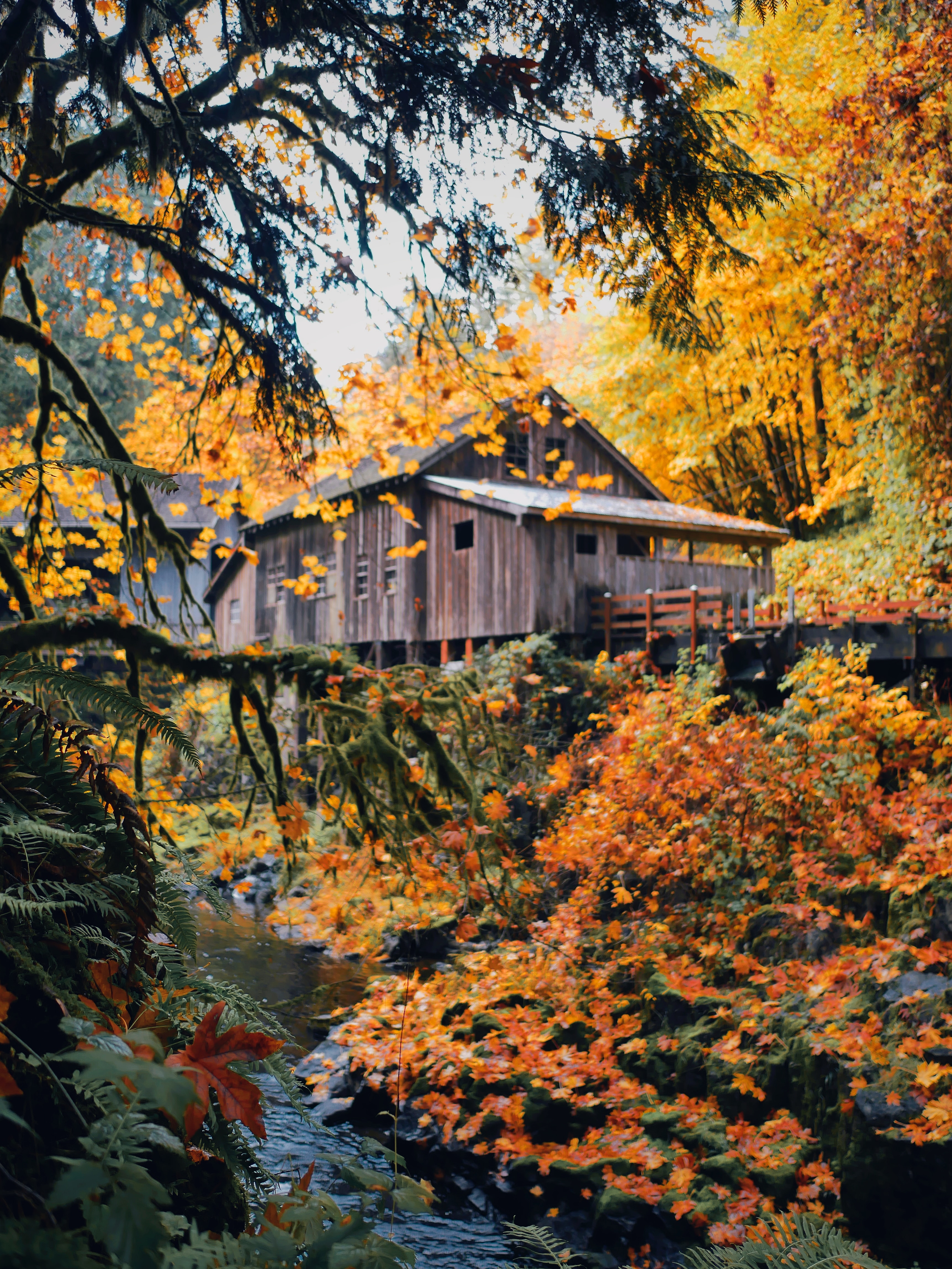 Wooden wood, house, nature, autumn 4k Wallpaper