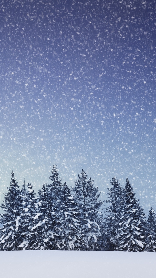 1247645 Заставки і шпалери Сніг на телефон. Завантажити земля, дерево, снігопад, зима картинки безкоштовно