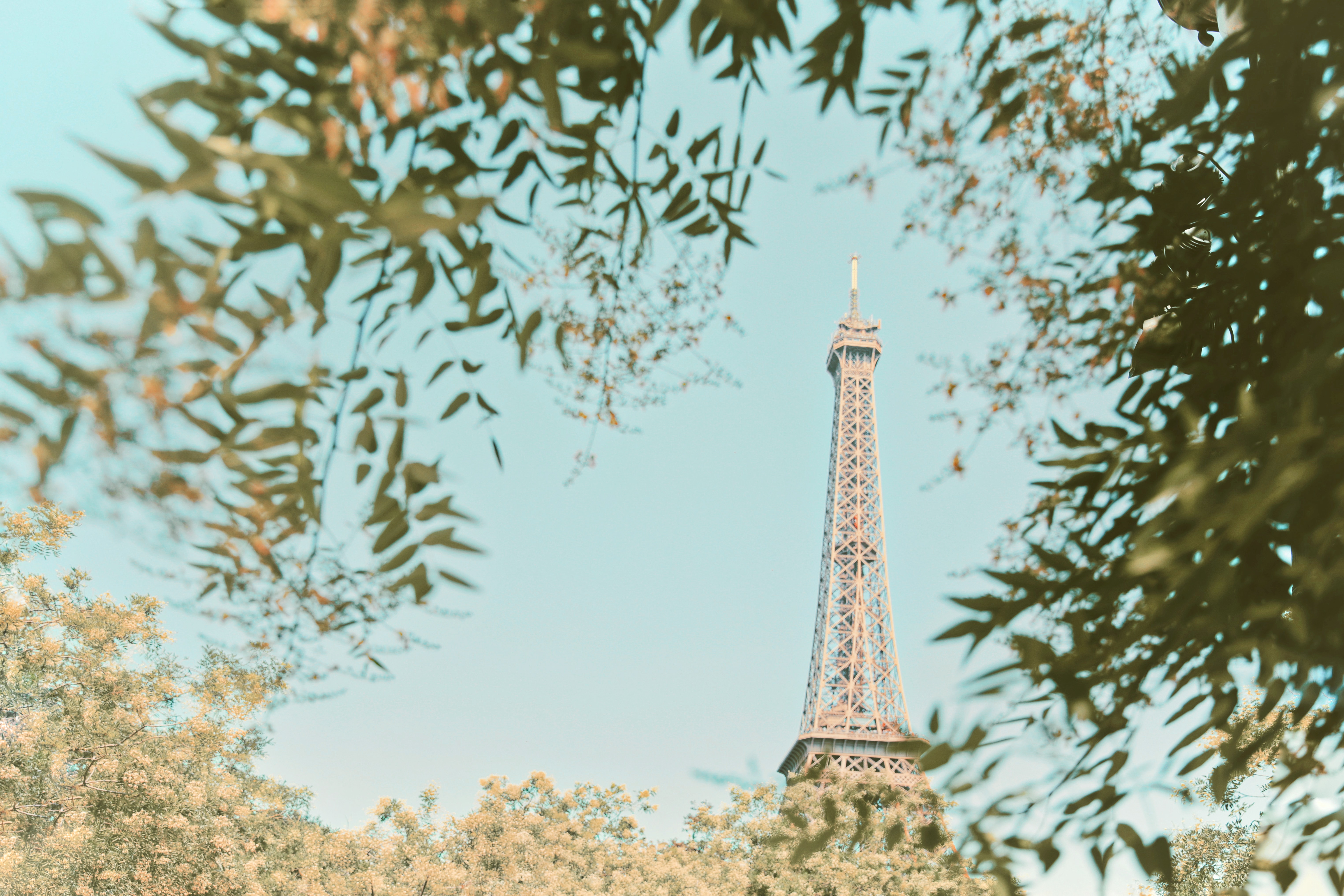 お使いの携帯電話の122834スクリーンセーバーと壁紙エッフェル塔。 塔, 枝, 都市, パリの写真を無料でダウンロード