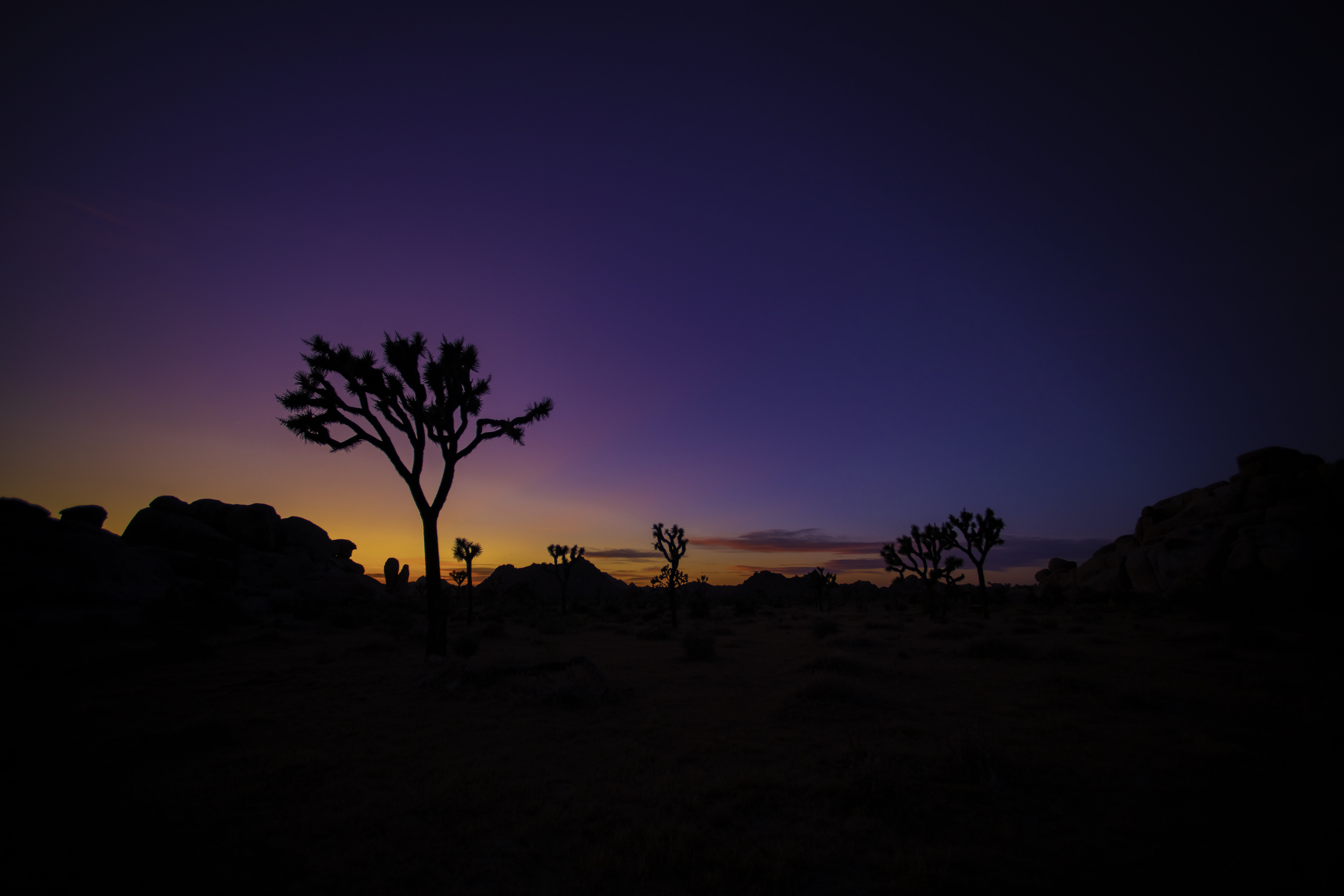 silhouette, wood, nature, sunset, tree, prairie Smartphone Background