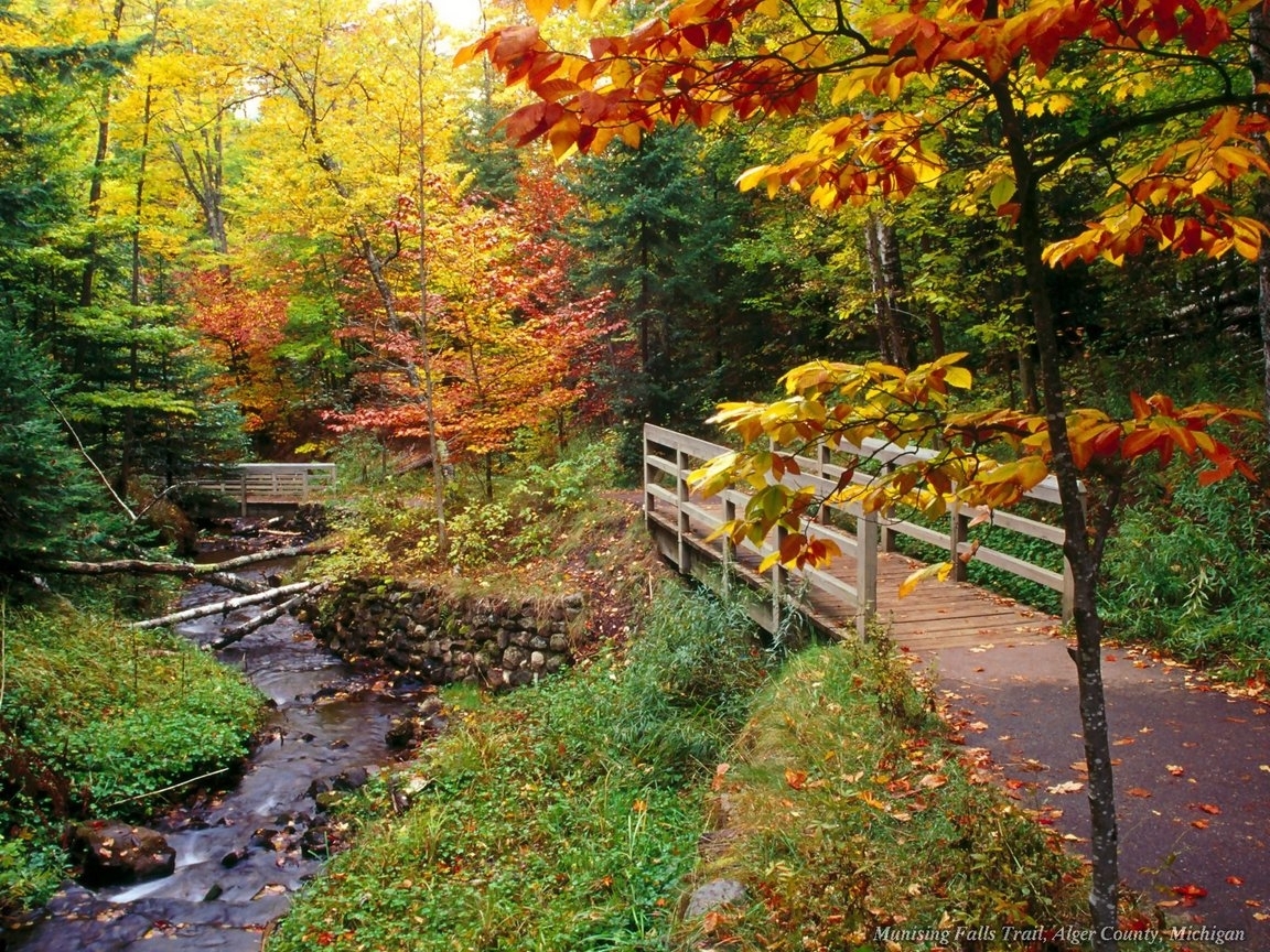 1692 download wallpaper landscape, bridges, plants, rivers, trees, autumn screensavers and pictures for free