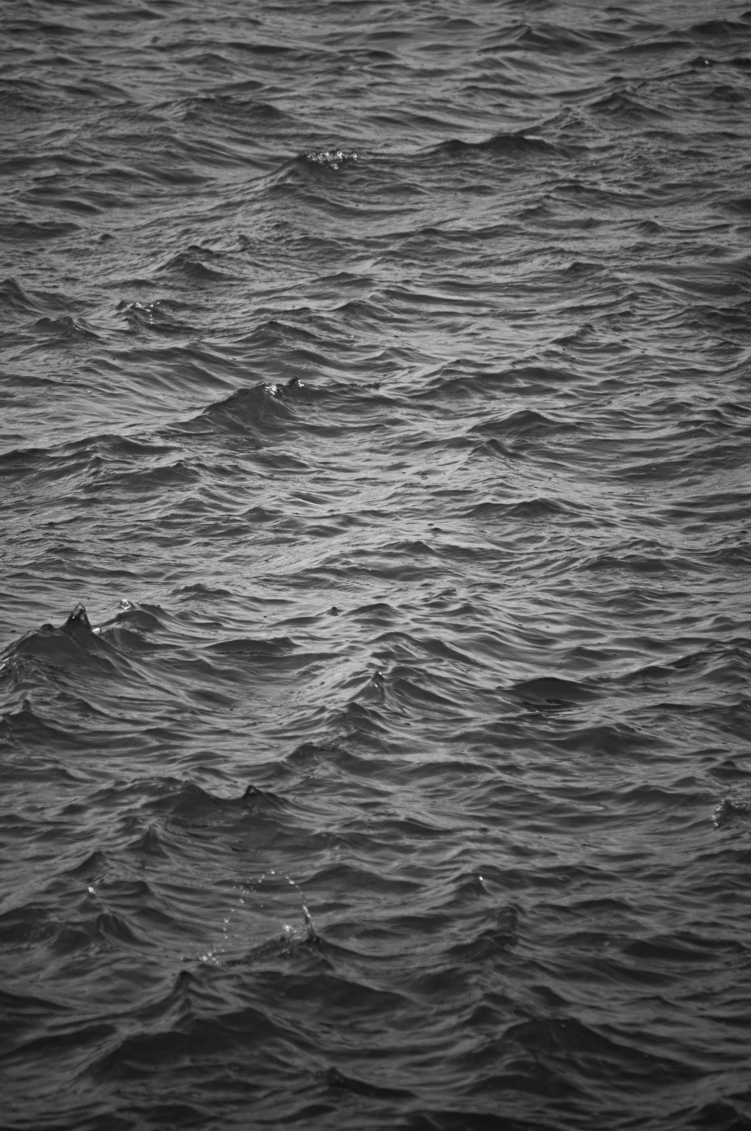 water, bw, waves, nature 4K iPhone