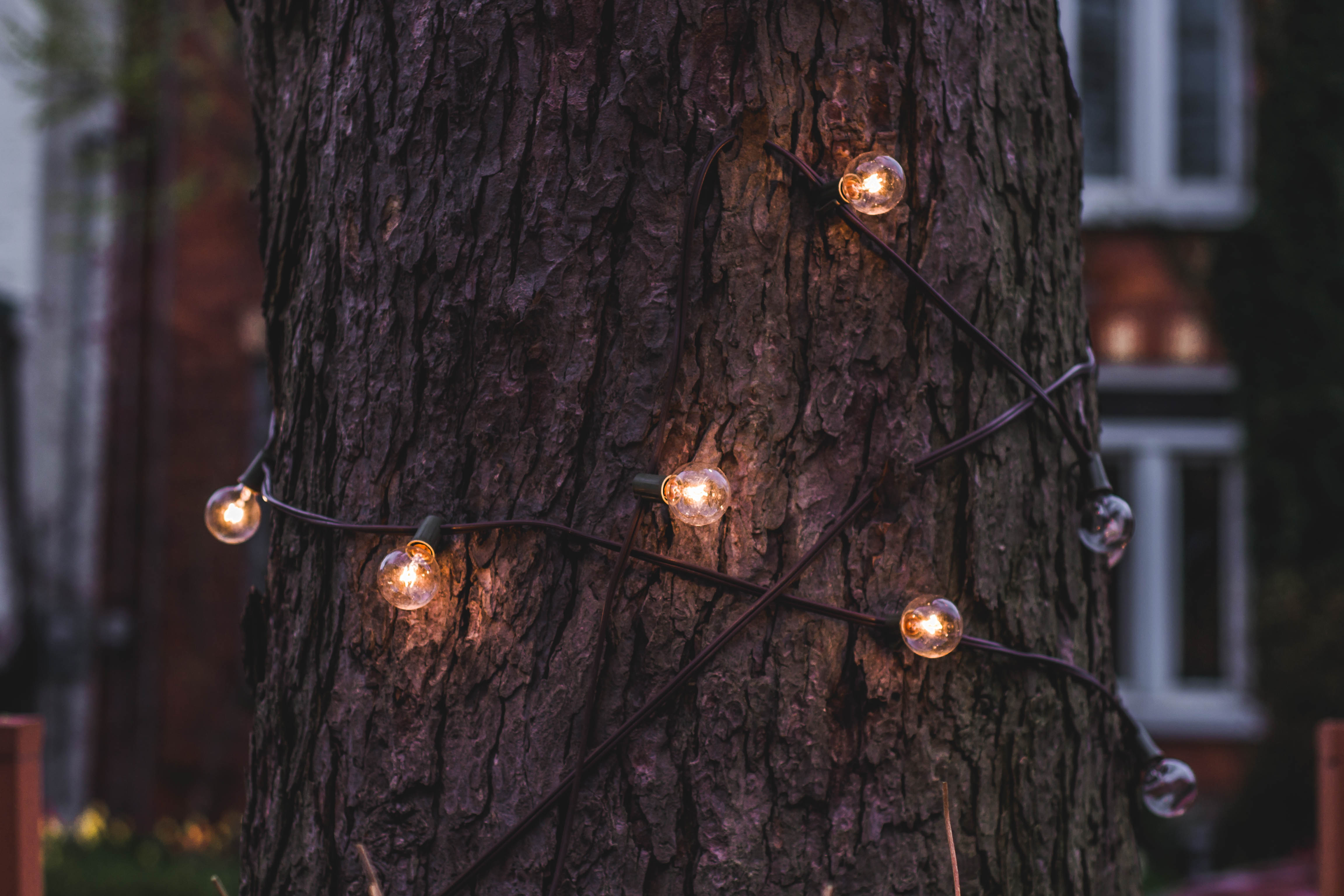 Download mobile wallpaper Bark, Lamp, Trunk, Lamps, Wood, Tree, Garland, Miscellaneous, Miscellanea for free.