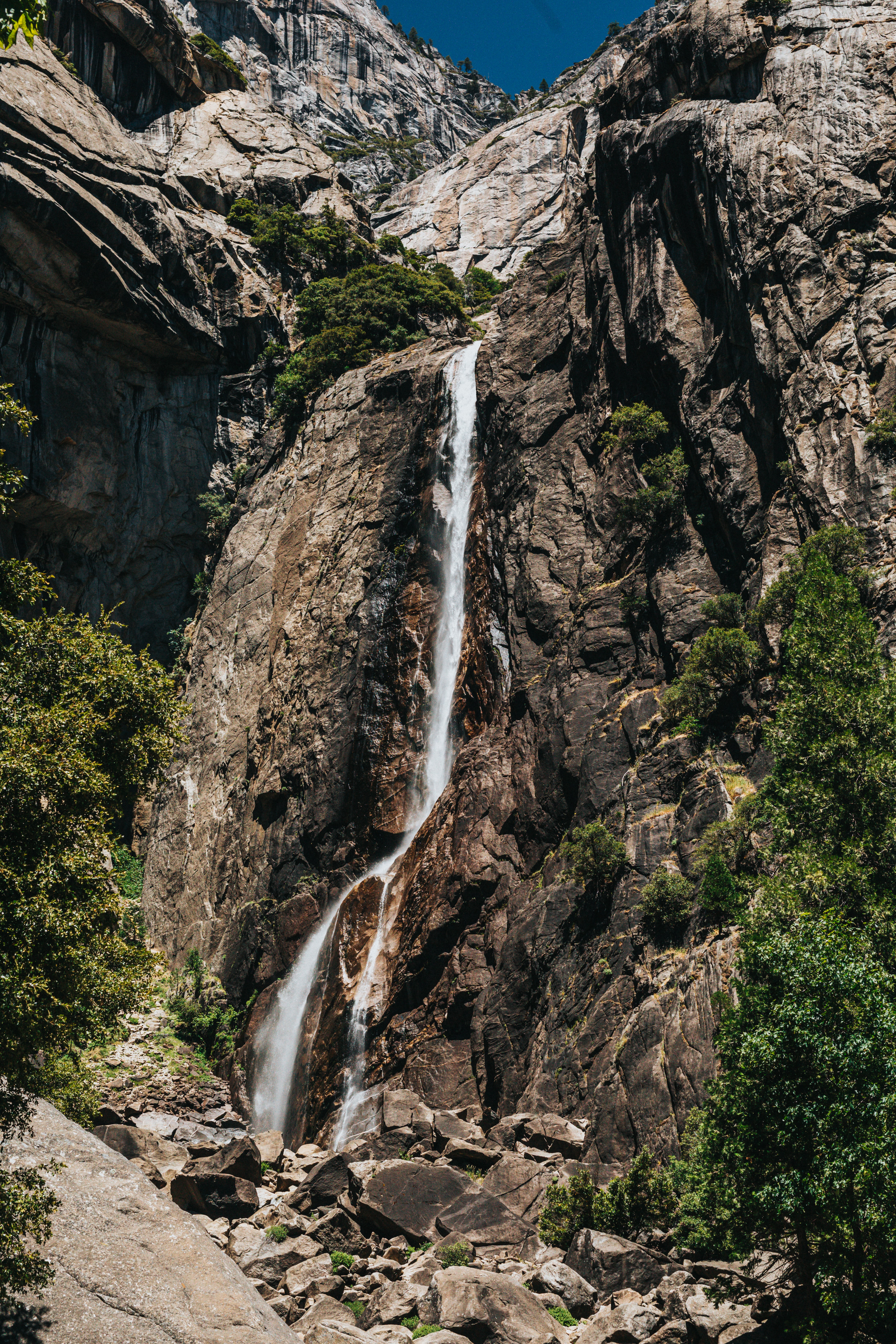 stones, rocks, nature, waterfall, branches, cliff 8K