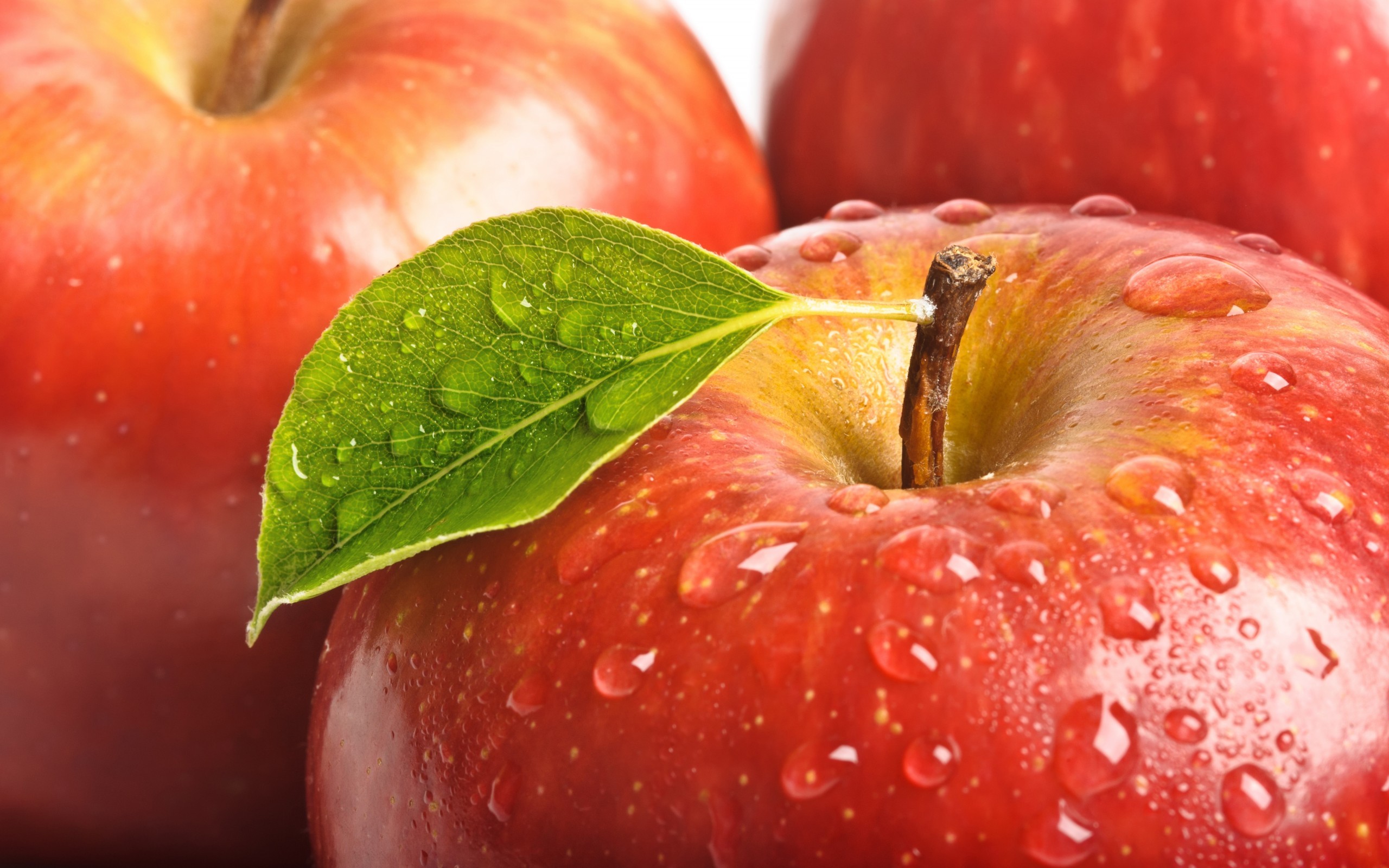 apples, background, food, drops Fruits HD Android Wallpapers