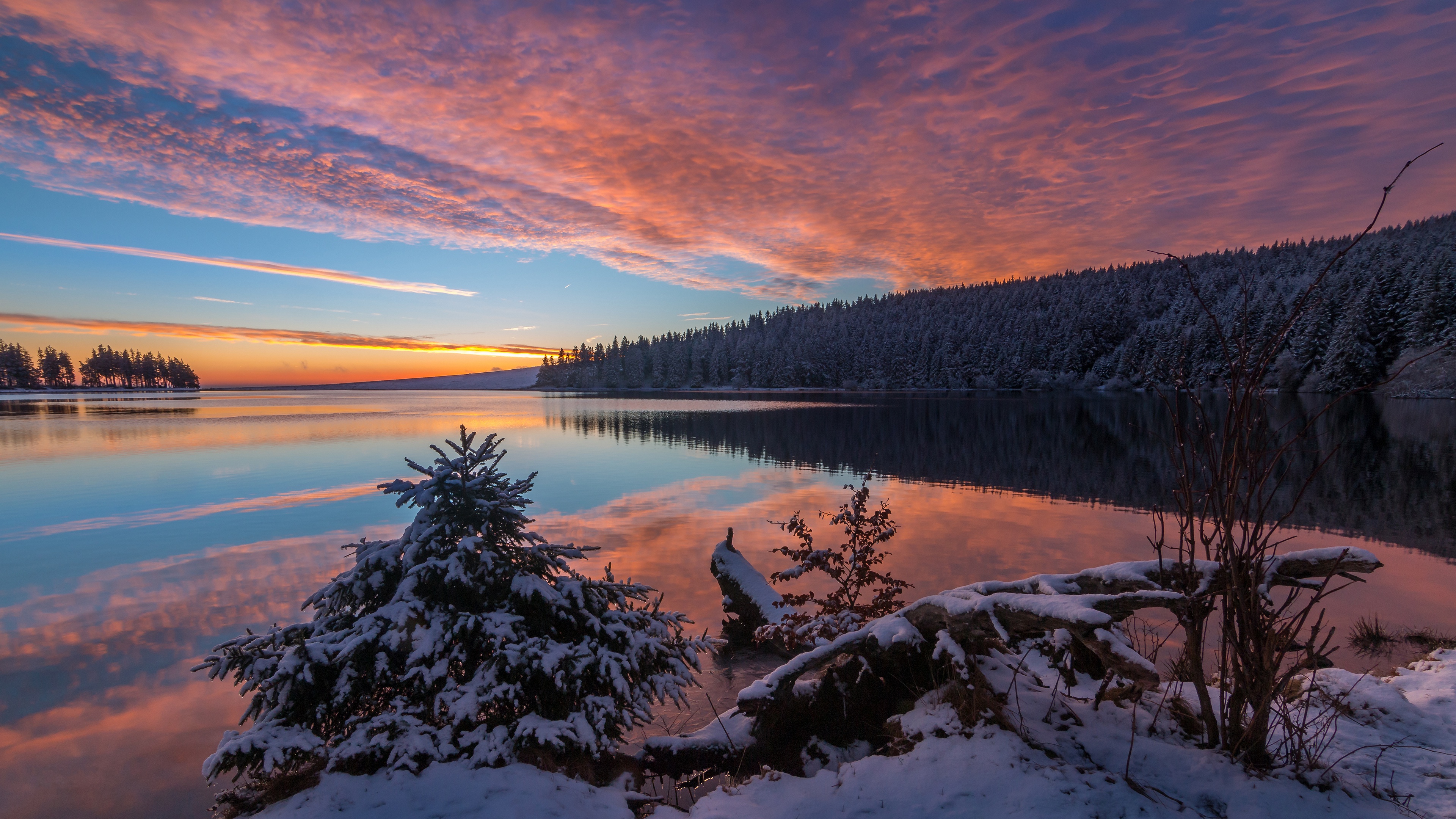 earth, sunset, cloud, forest, lake, reflection, sky, snow, spruce, winter UHD