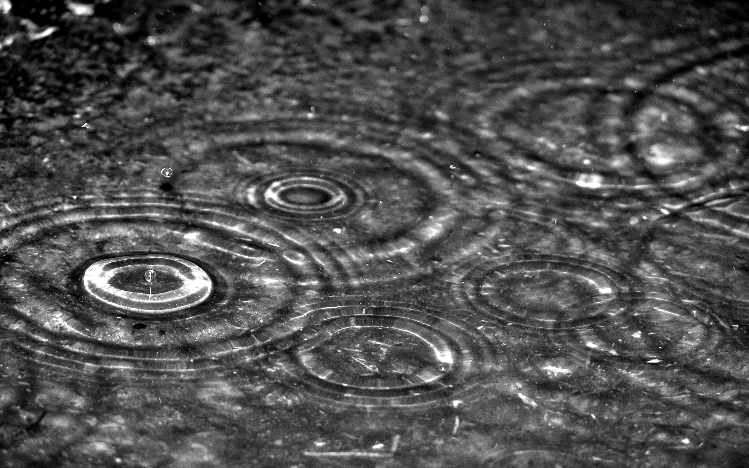 rain, photography, black & white QHD