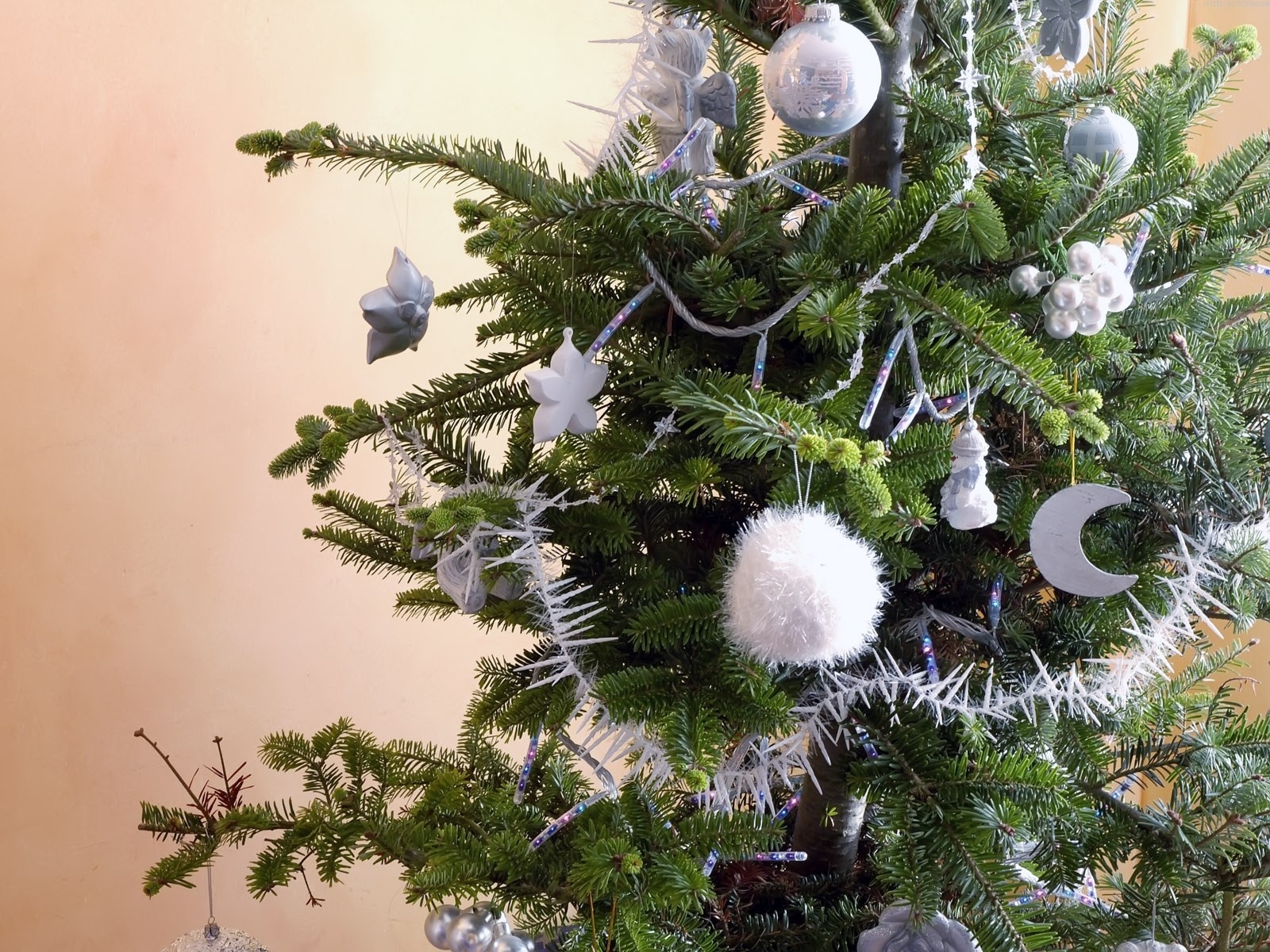 holidays, trees, new year, fir-trees QHD