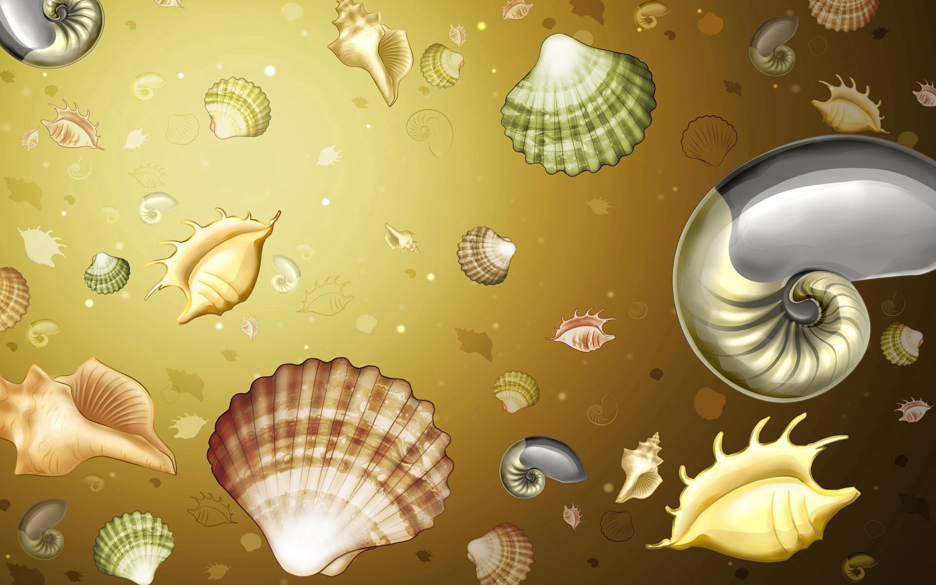 59979 Bildschirmschoner und Hintergrundbilder Shells auf Ihrem Telefon. Laden Sie hintergrund, shells, textur, texturen, farbe, bild, zeichnung Bilder kostenlos herunter