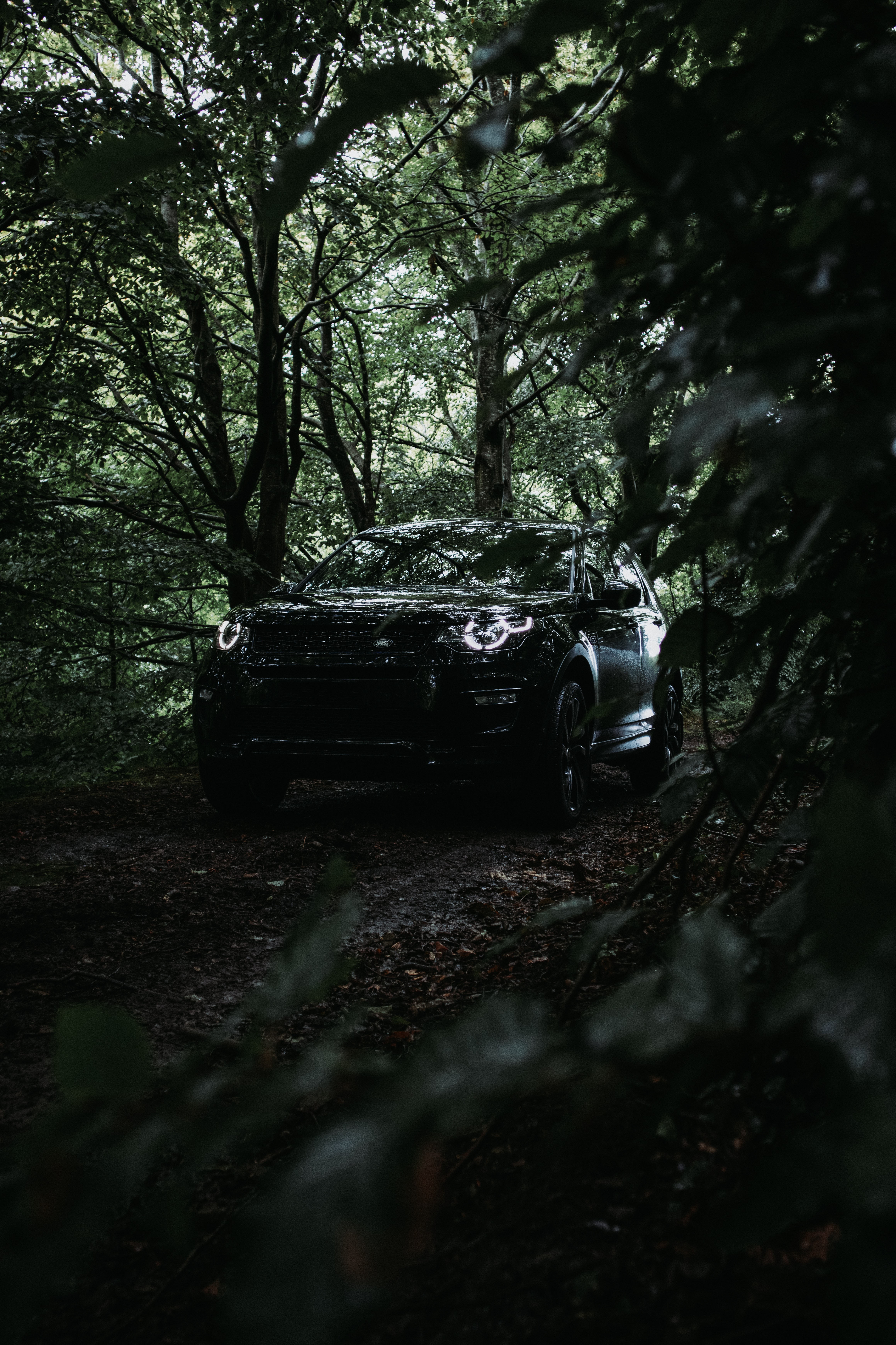 85142 Bildschirmschoner und Hintergrundbilder Land Rover auf Ihrem Telefon. Laden Sie auto, land rover, cars, wagen, suv, vorderansicht, frontansicht Bilder kostenlos herunter