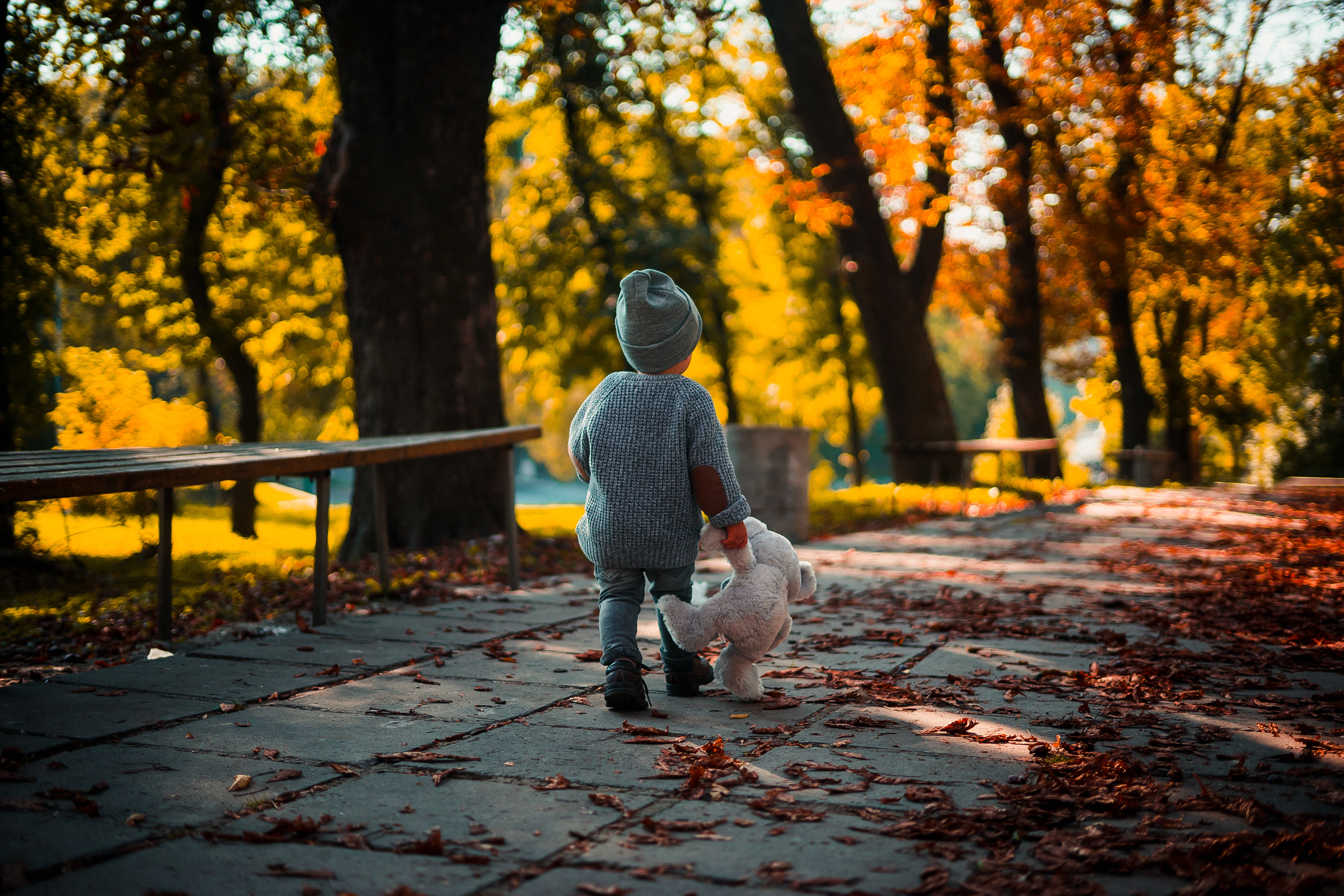 stroll, child, teddy bear, autumn, miscellanea, miscellaneous QHD