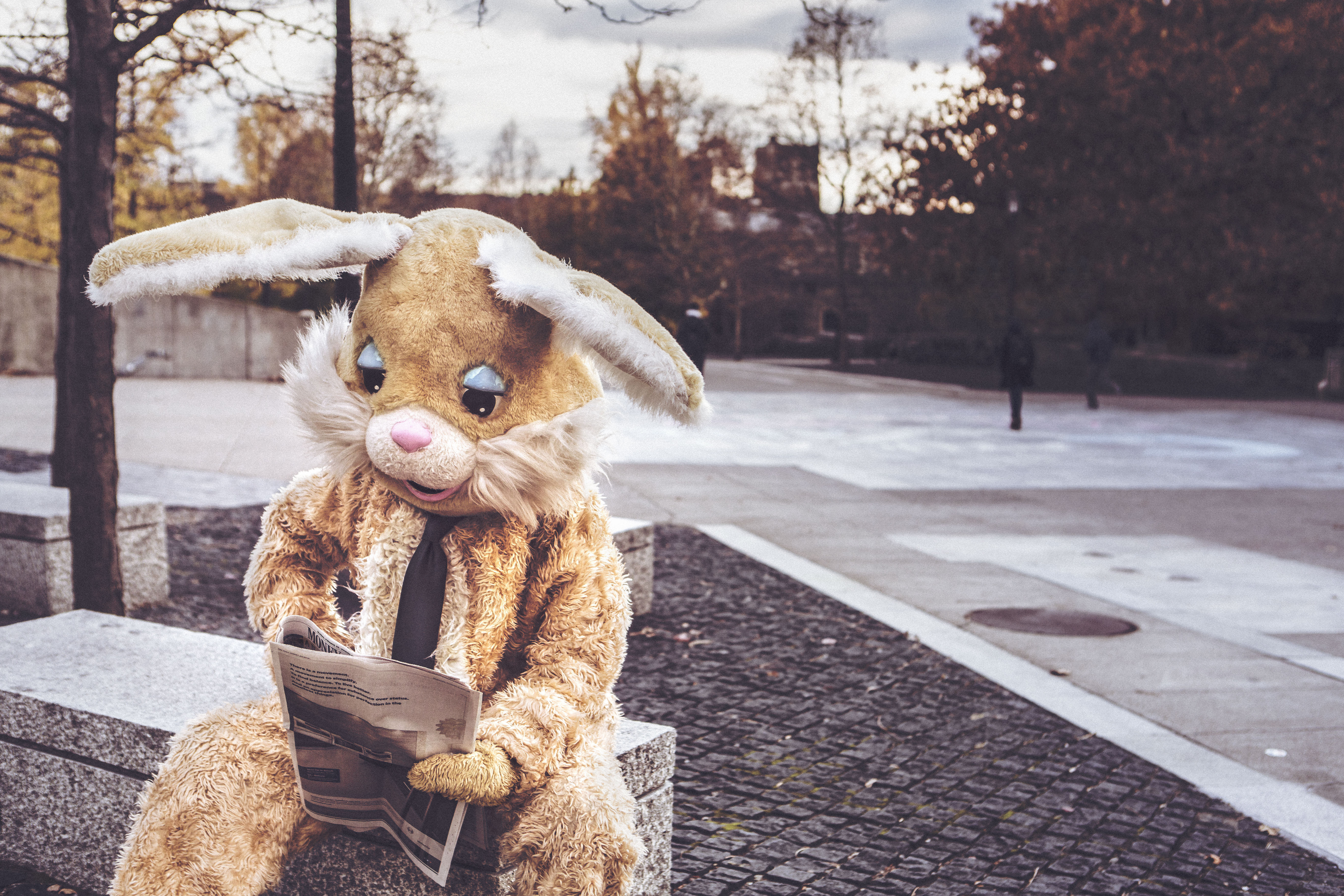 costume, hare, miscellanea, miscellaneous Reading Cellphone FHD pic