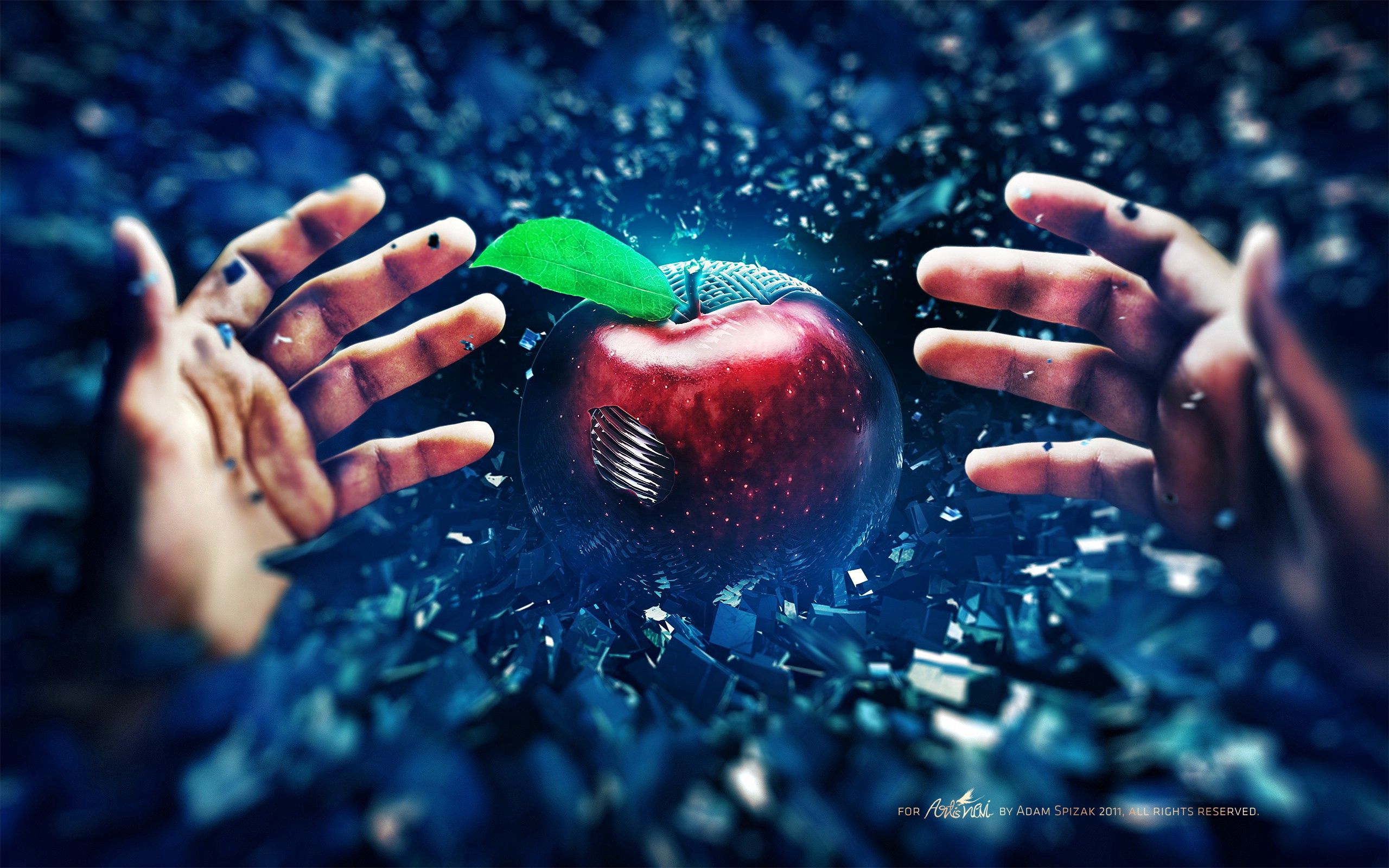 apple, abstract, background, hands, fight, skirmish