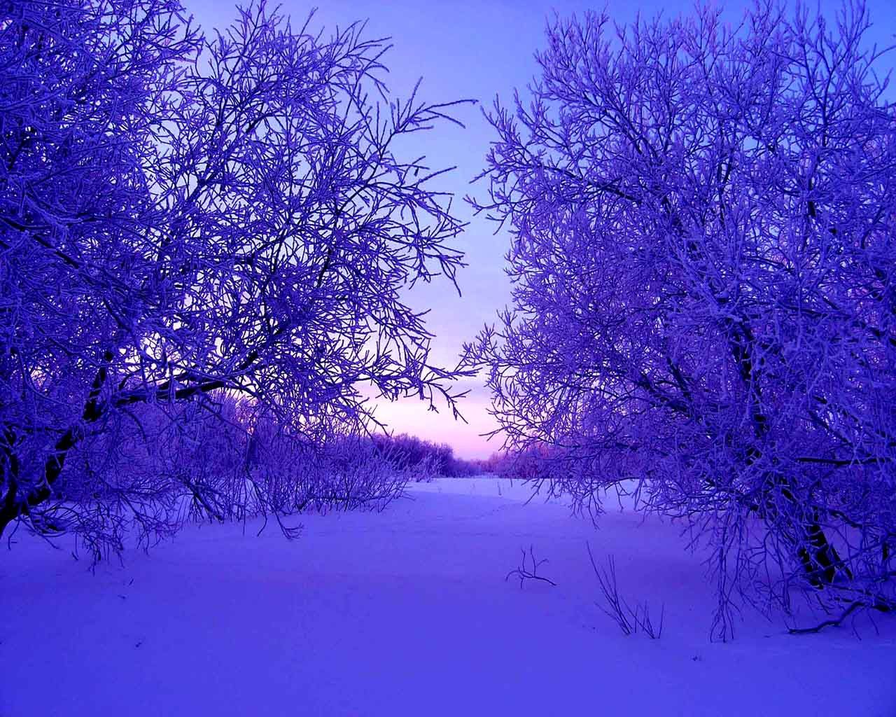 111378 Заставки и Обои Зима на телефон. Скачать зима, снег, деревья, вечер, сугробы, природа картинки бесплатно