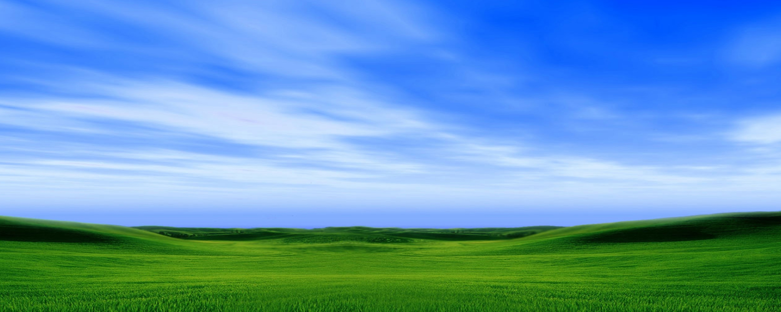 Зеленое поле панорама