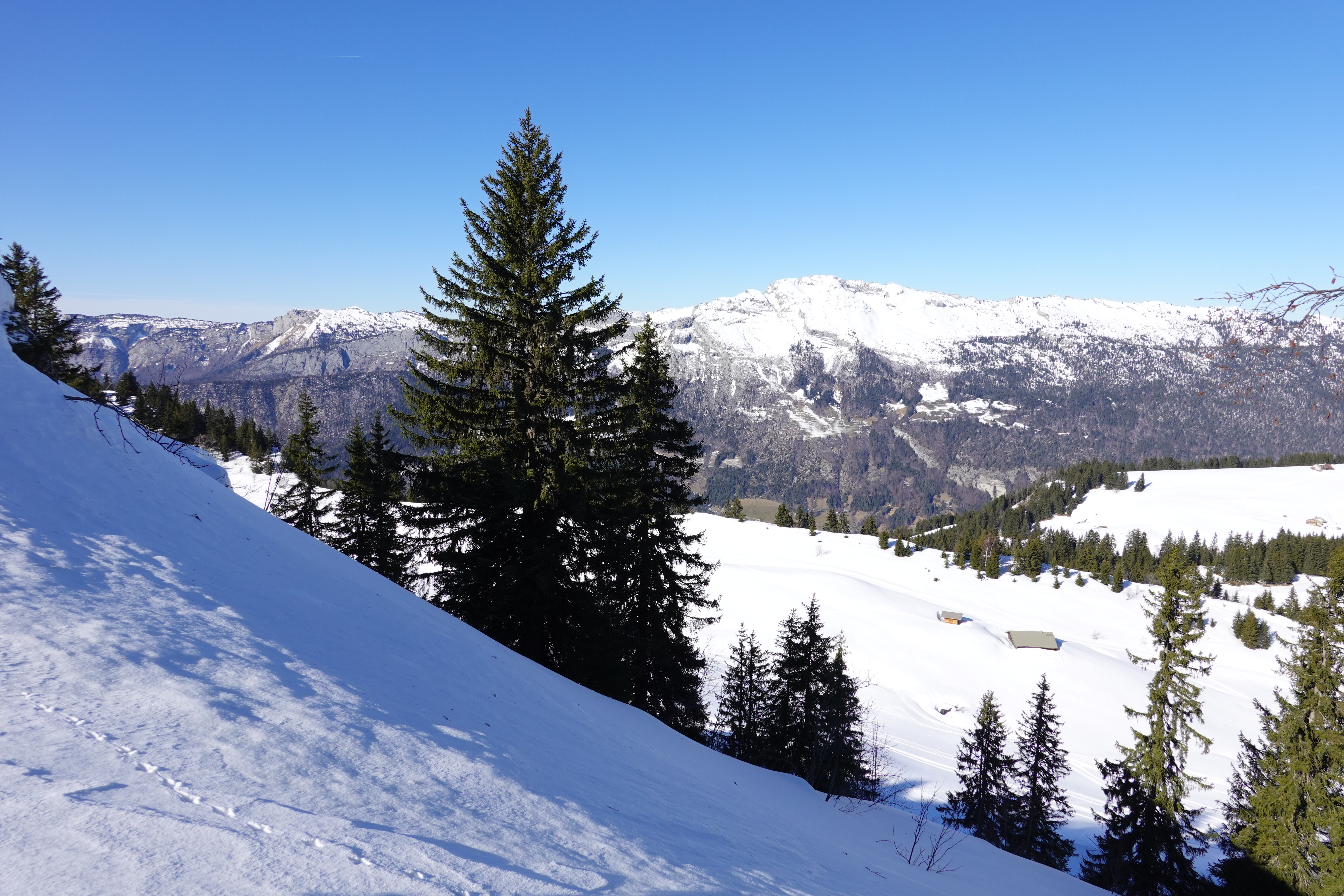 Laden Sie das Winter, Natur, Bäume, Mountains, Schnee, Tannenbaum-Bild kostenlos auf Ihren PC-Desktop herunter