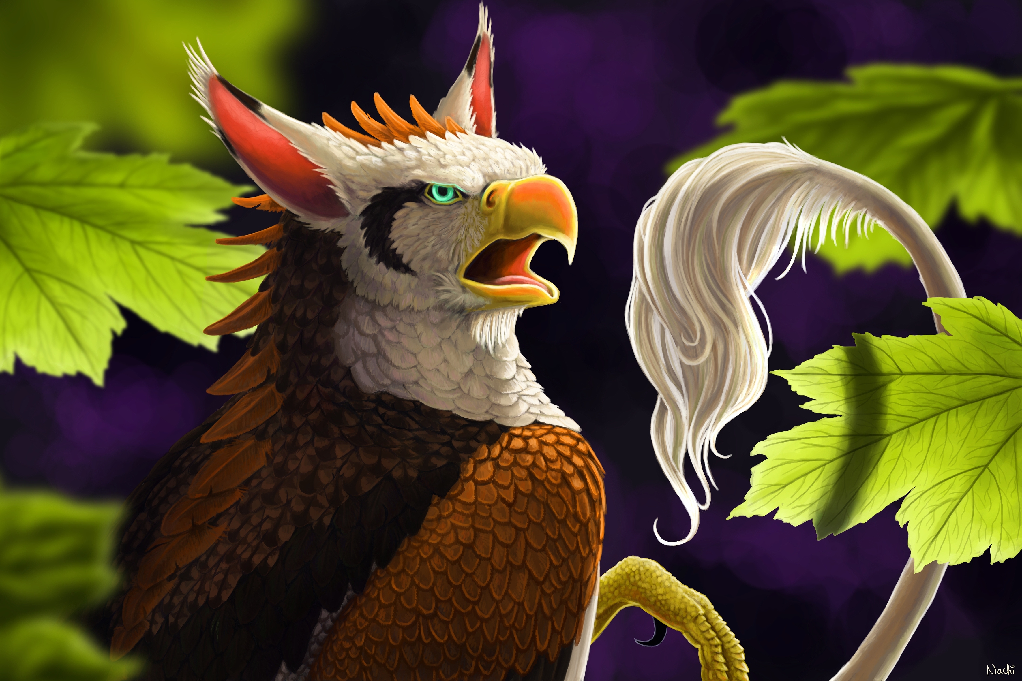 Mobile HD Wallpaper Creature beak, fantasy, fantasy animals, tail