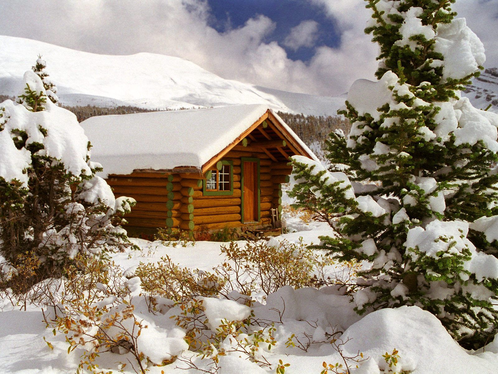 手機的152329屏保和壁紙小木屋。 免費下載 雪, 灌木, 性质, 小房子 圖片