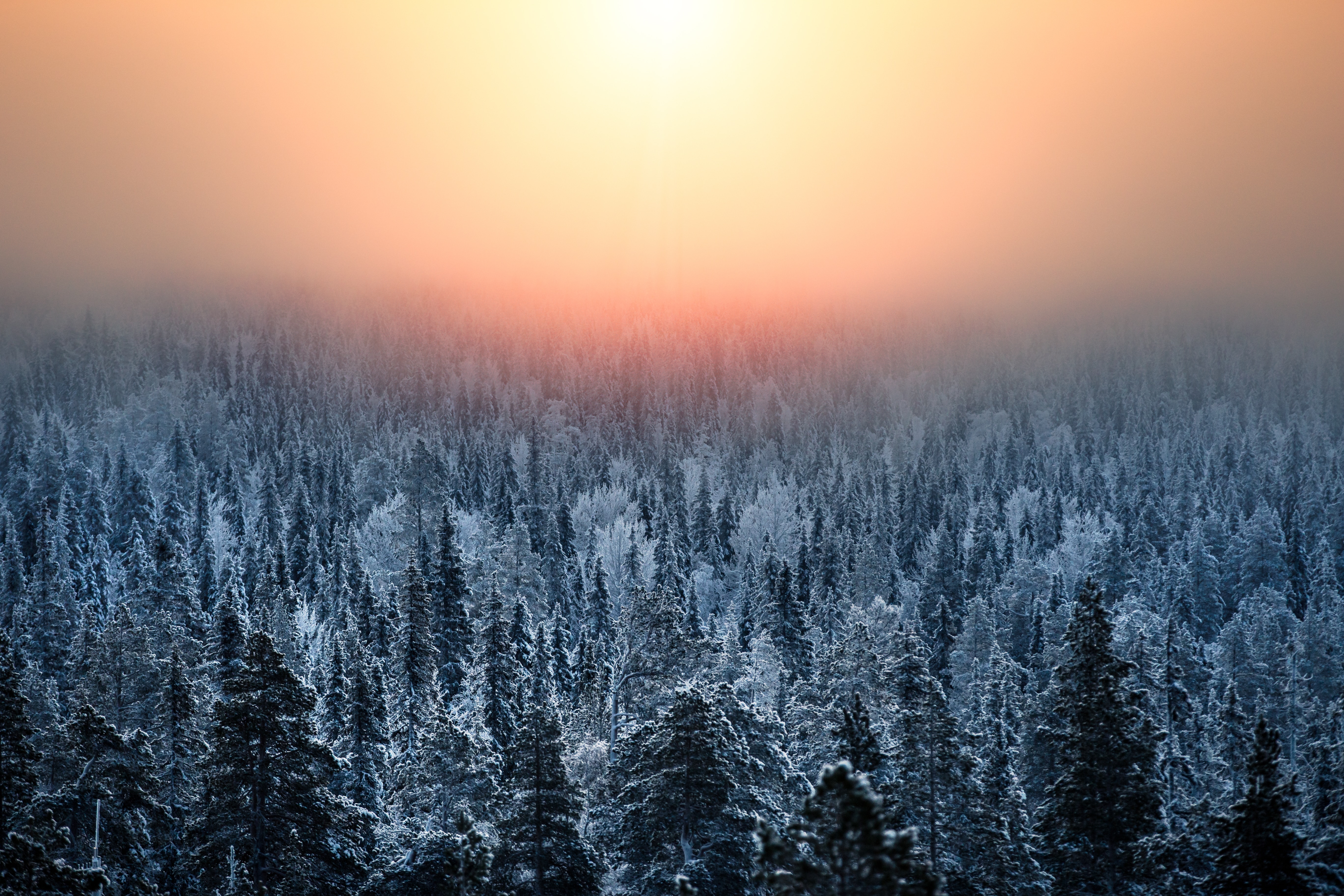 お使いの携帯電話の120209スクリーンセーバーと壁紙風景。 雪, 日没, 靄, 森林の写真を無料でダウンロード