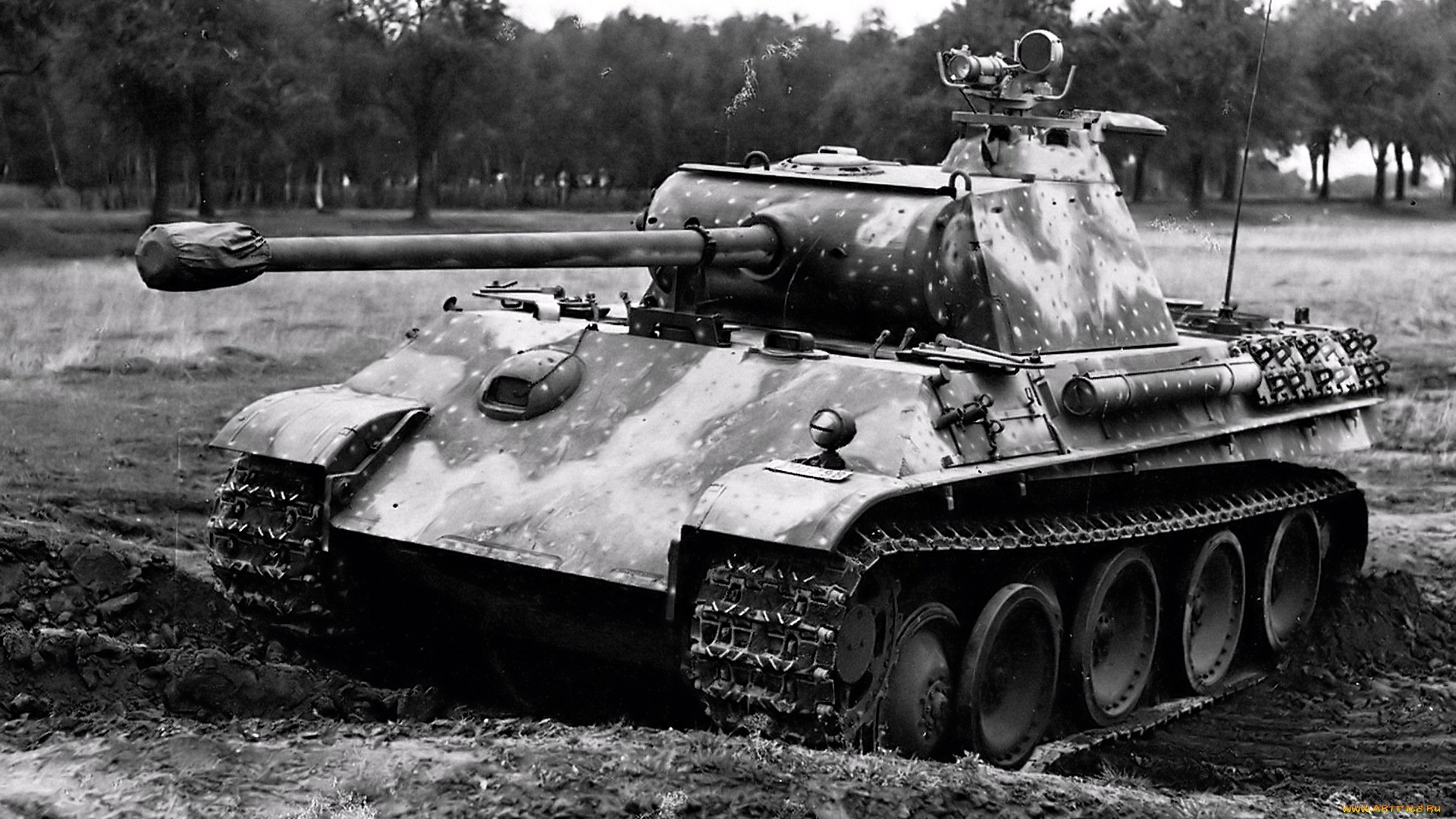 military, tank, black & white, panther, vehicle, tanks images