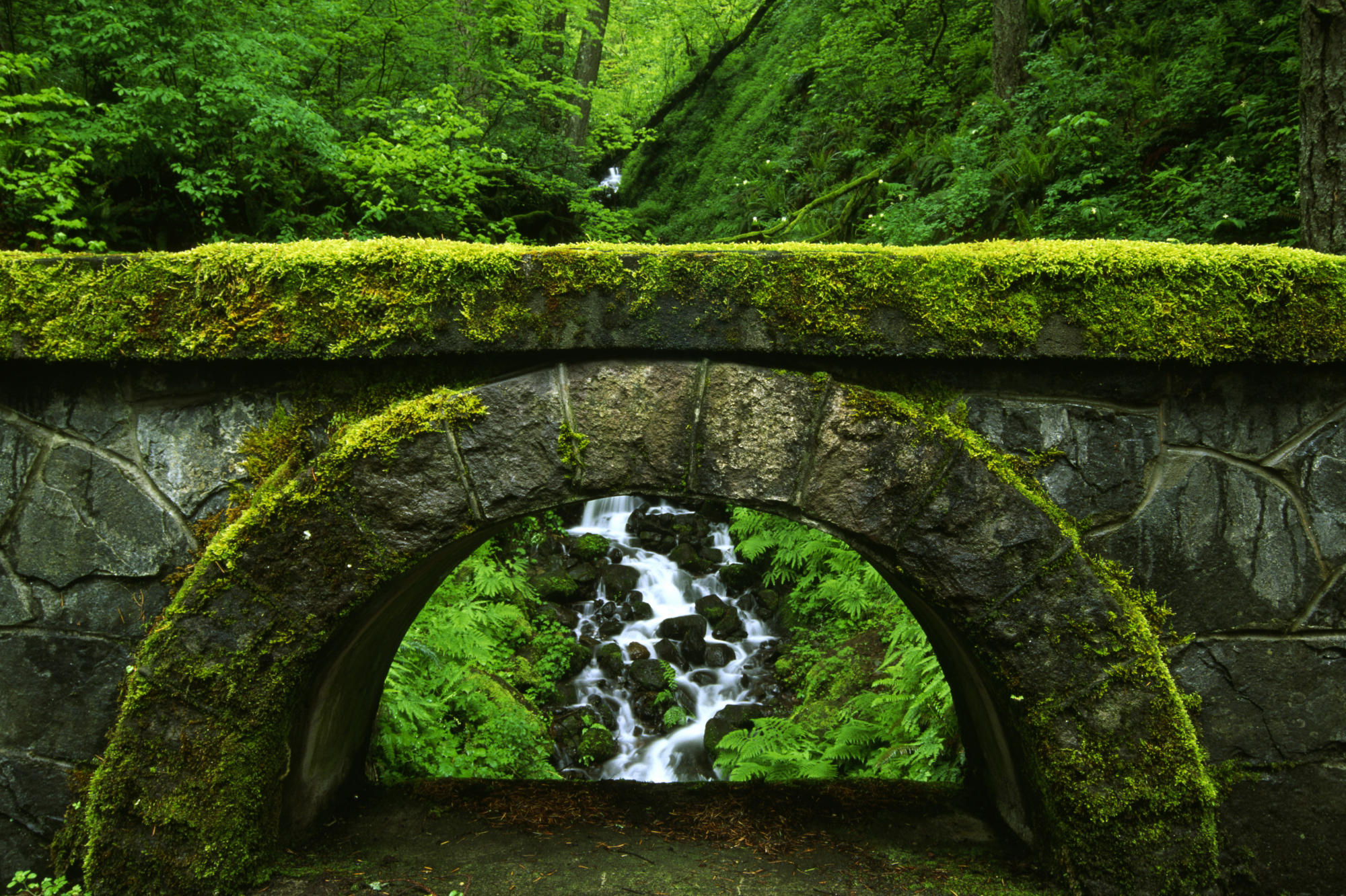 moss, earth, stream, arch, forest, stone
