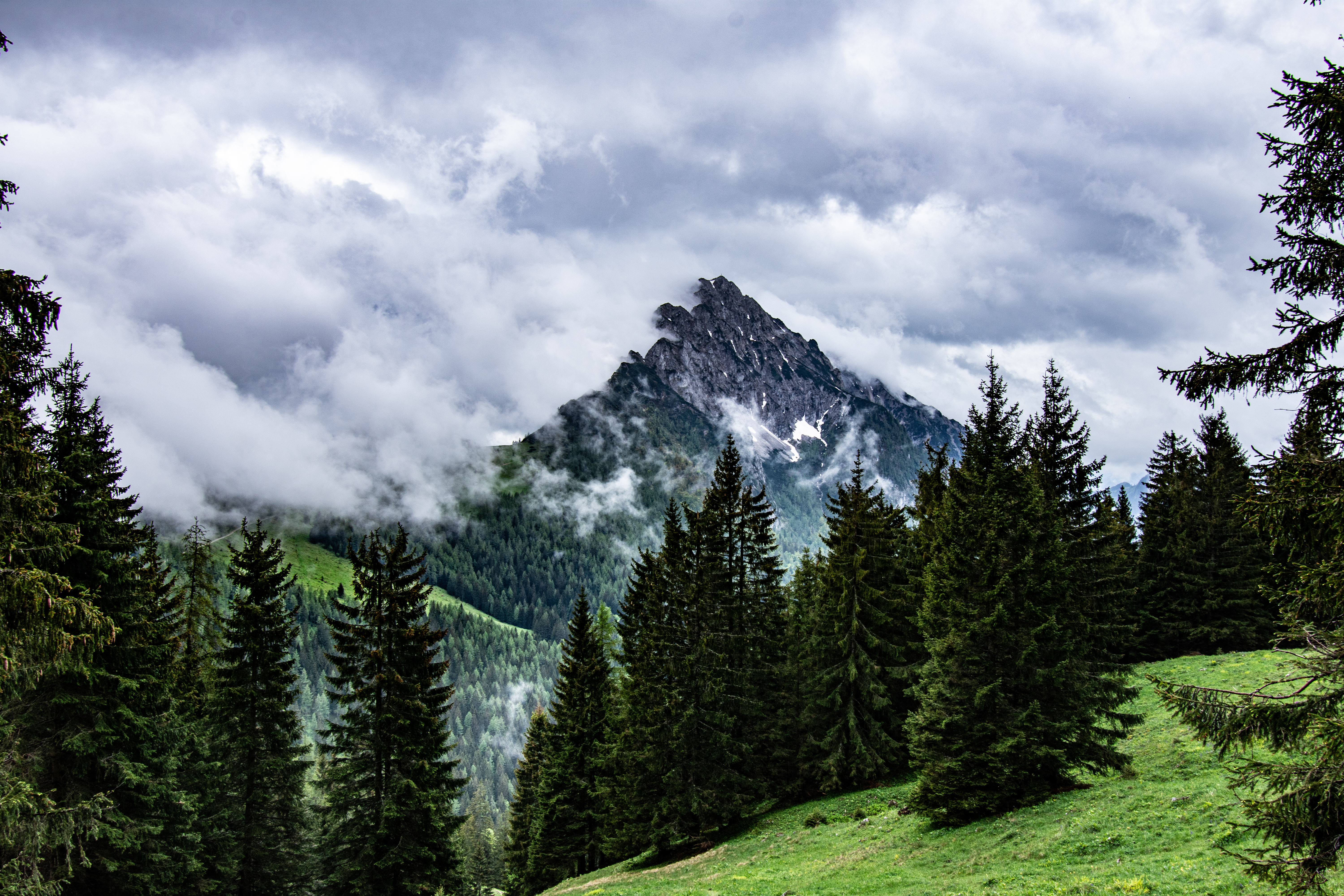 nature, trees, mountains, clouds, rocks, fog, spruce, fir iphone wallpaper