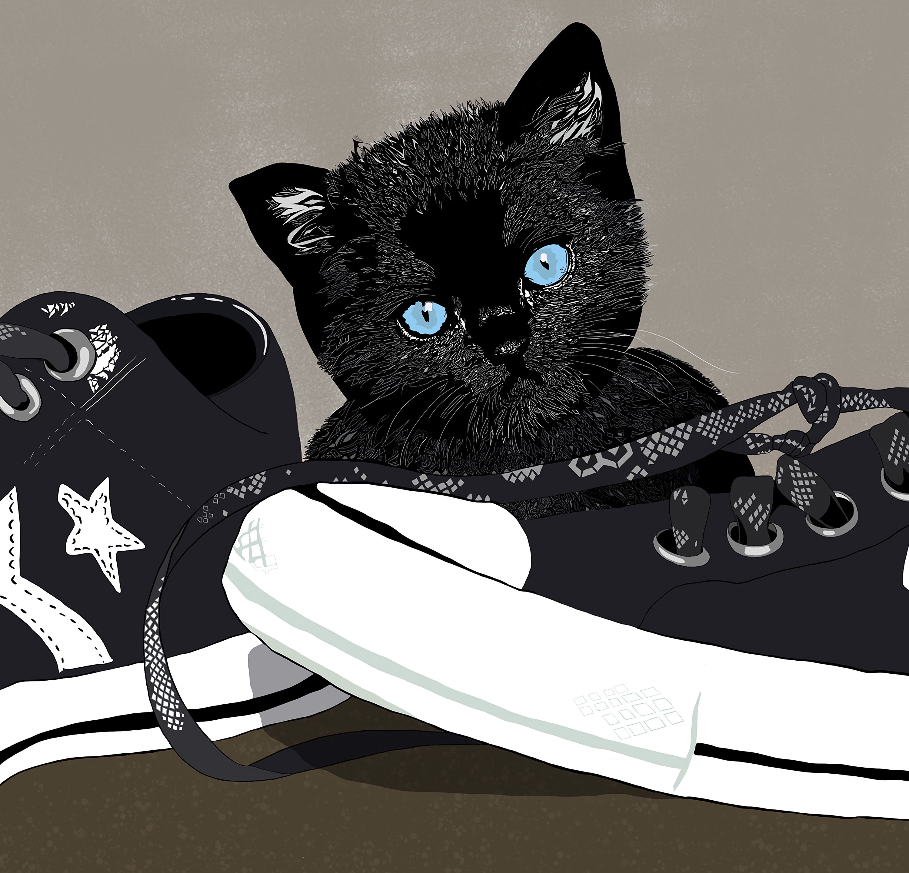 Art sweetheart, kitten, kitty, sneakers 4k Wallpaper