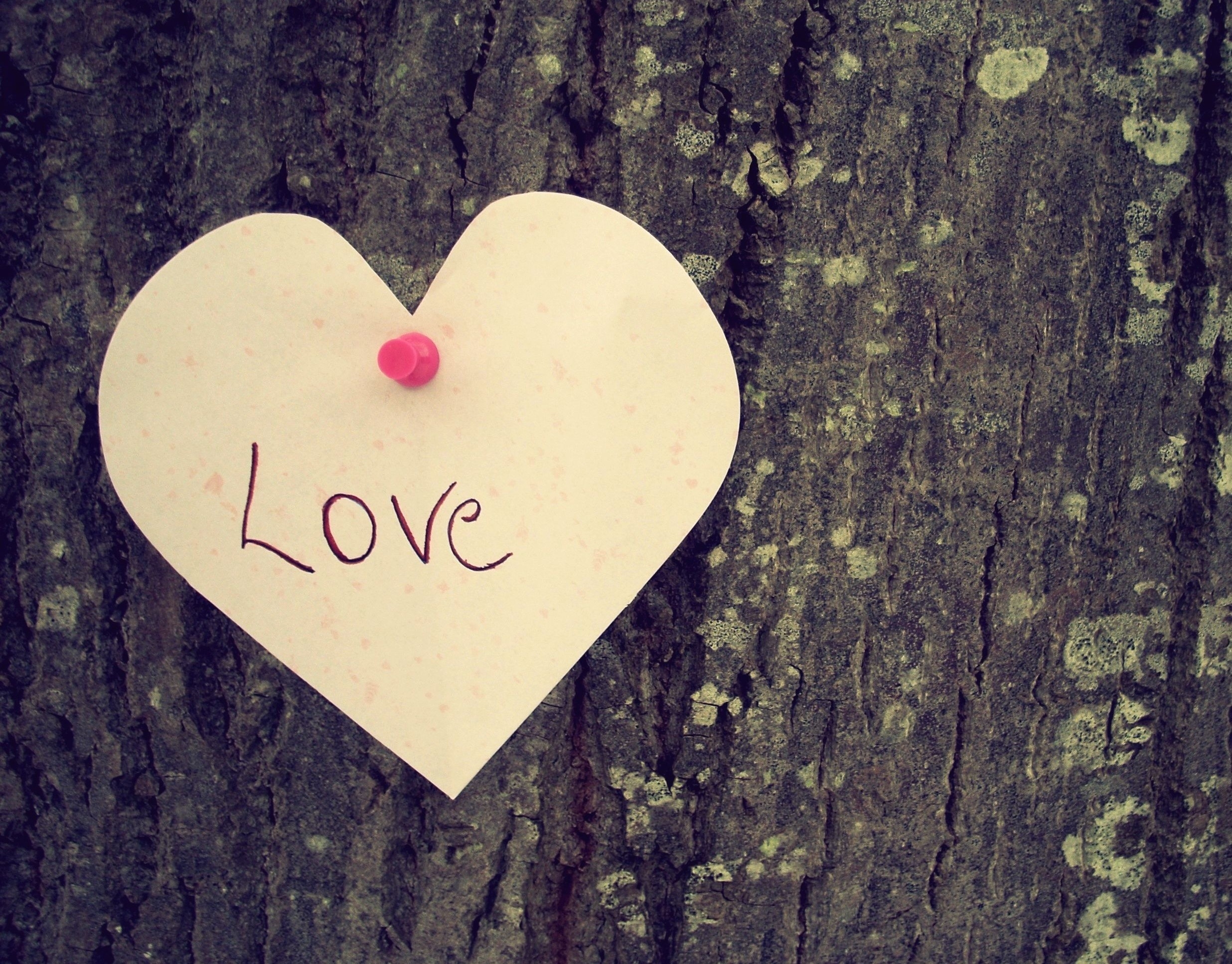 love, wood, tree, heart, feelings cell phone wallpapers