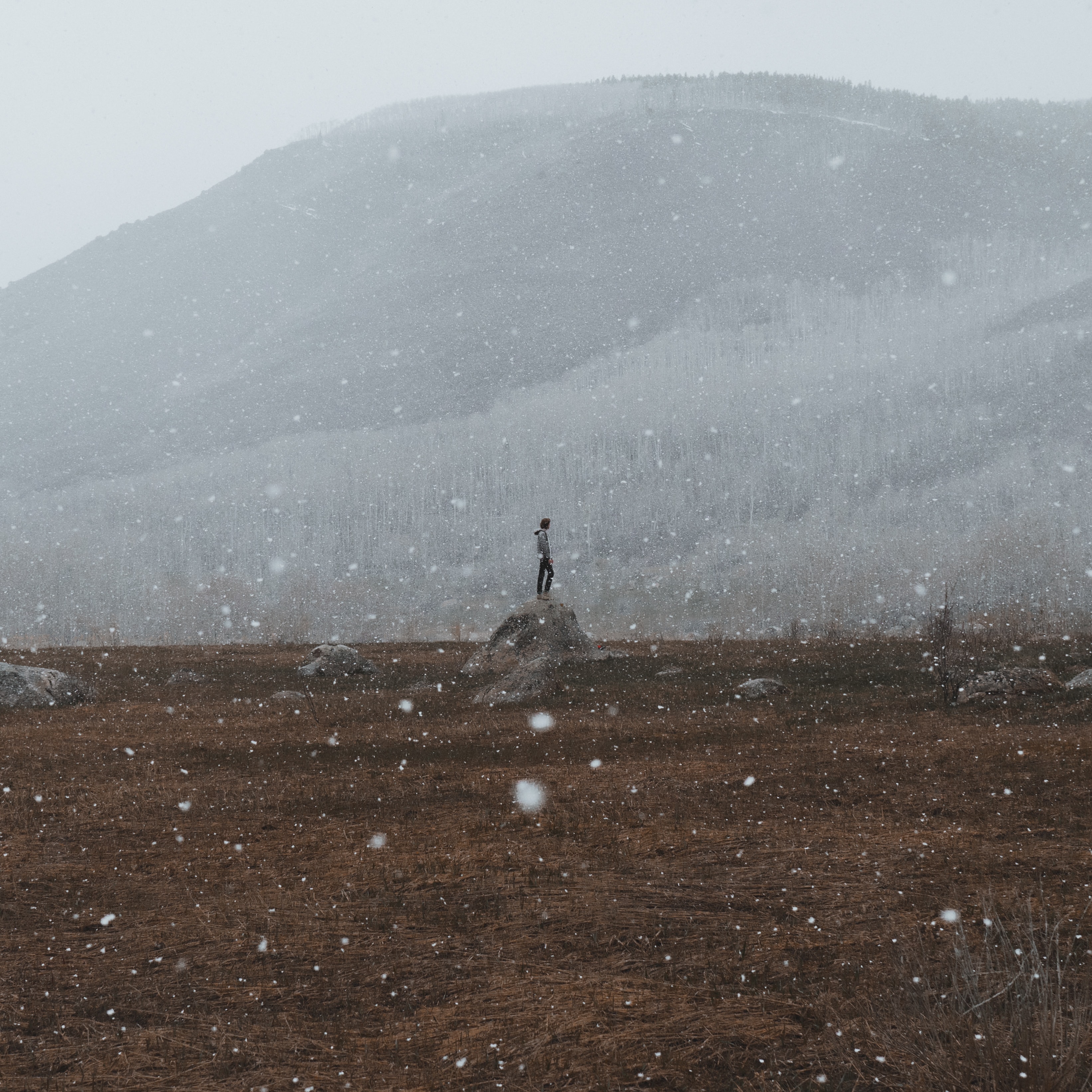 Phone Background Full HD loneliness, snow, lonely, hill