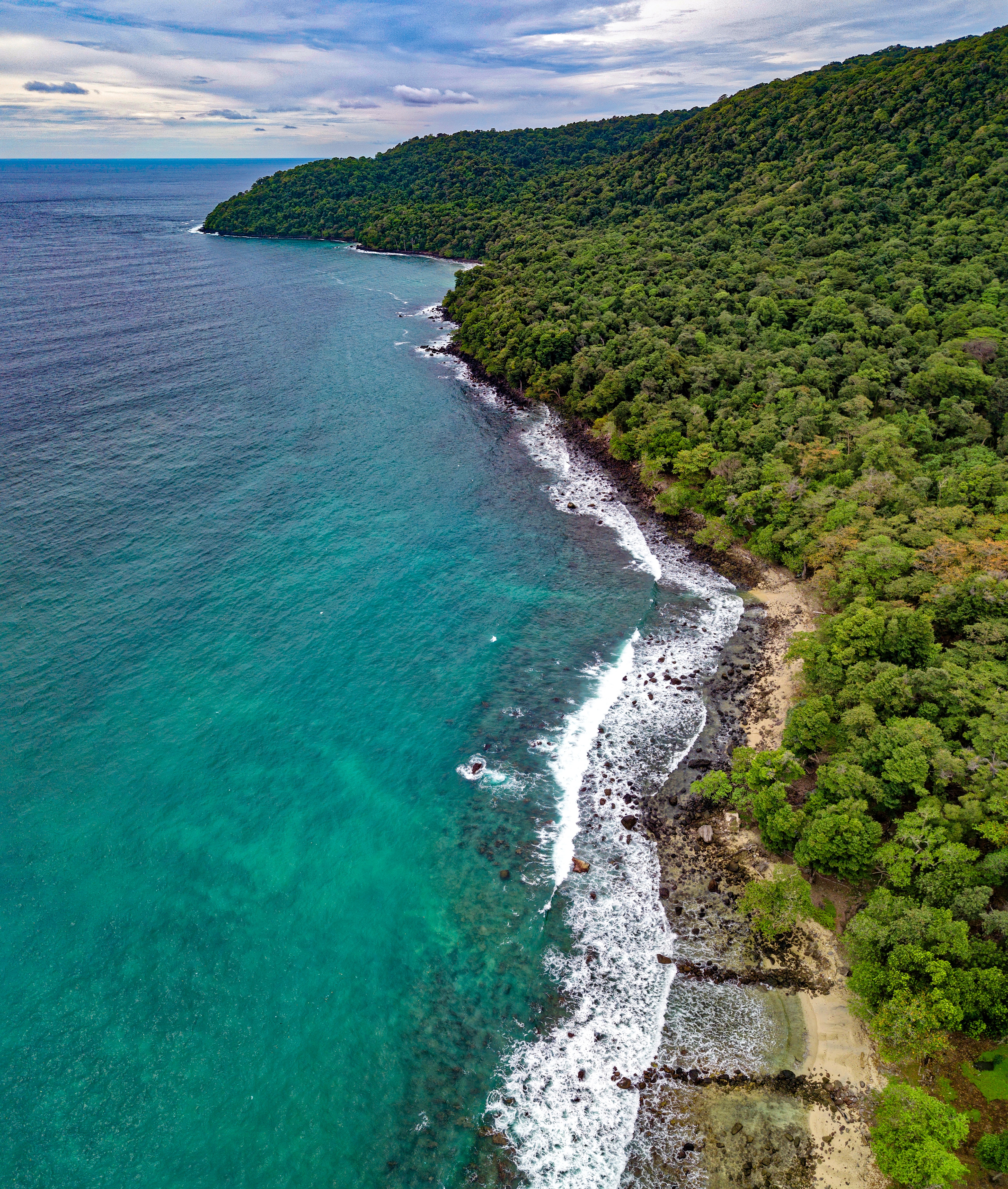 beach, vegetation, nature, view from above, bank, shore, ocean HD wallpaper
