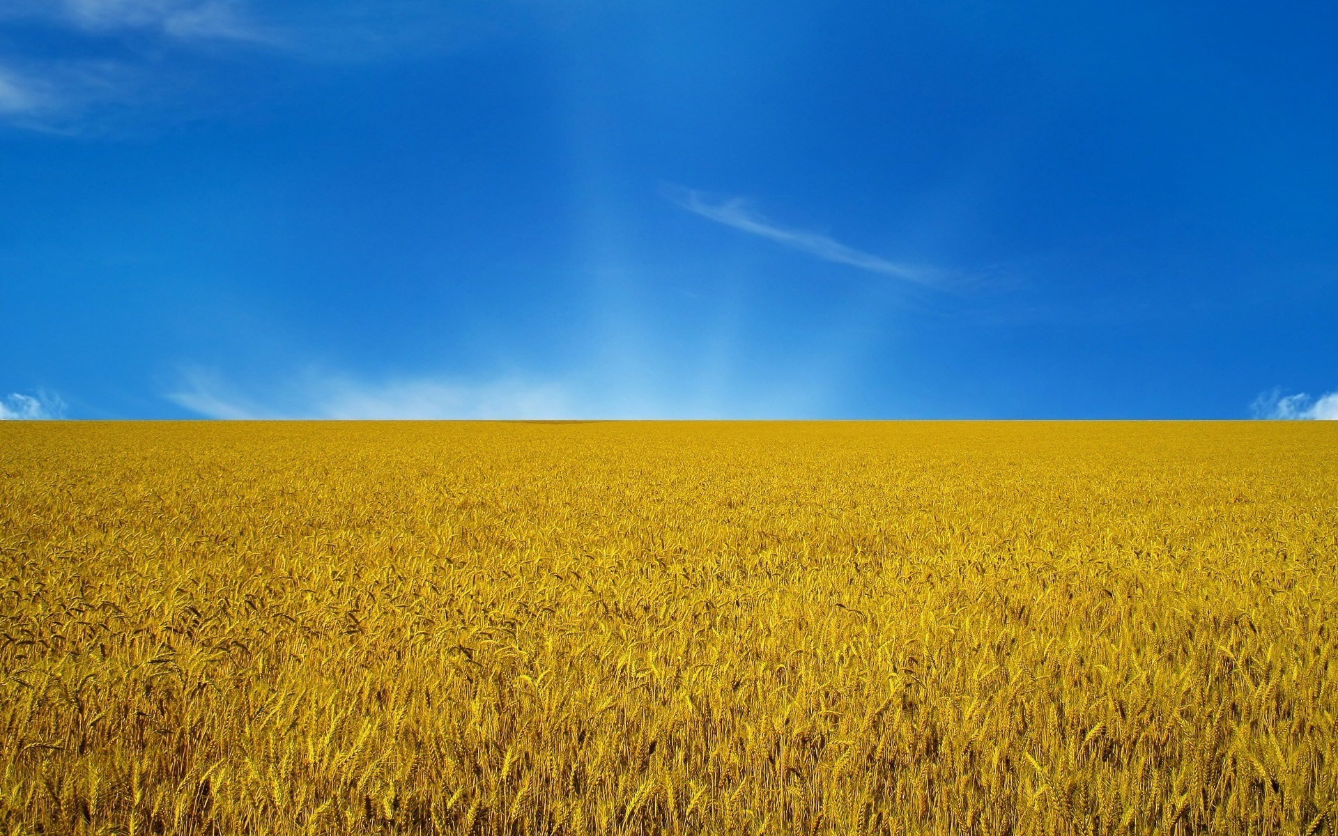 Завантажити безкоштовно картинку 44071: поля, пейзаж, пшениця, природа шпалери на телефон