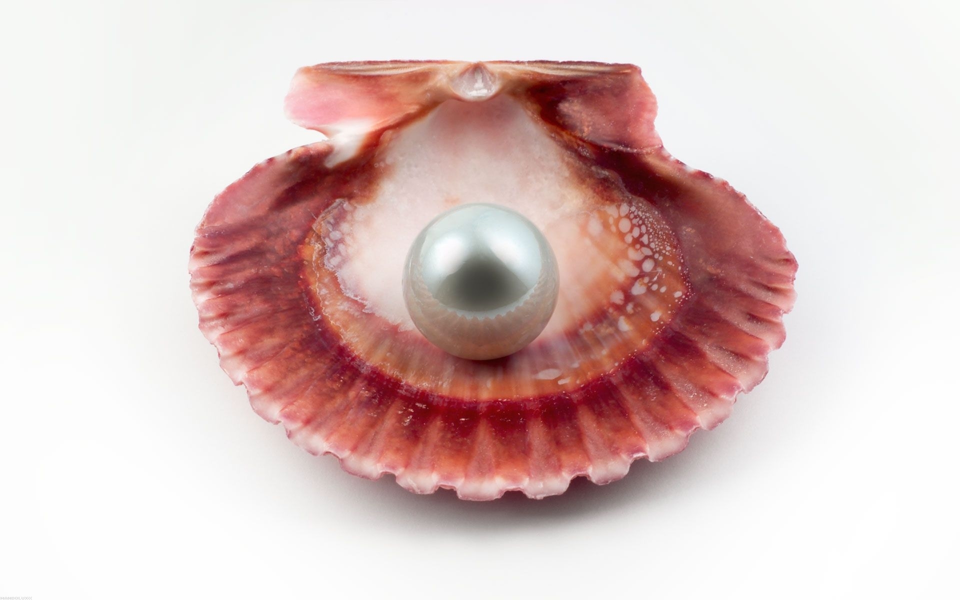 Laden Sie das Objekte, Pearls-Bild kostenlos auf Ihren PC-Desktop herunter