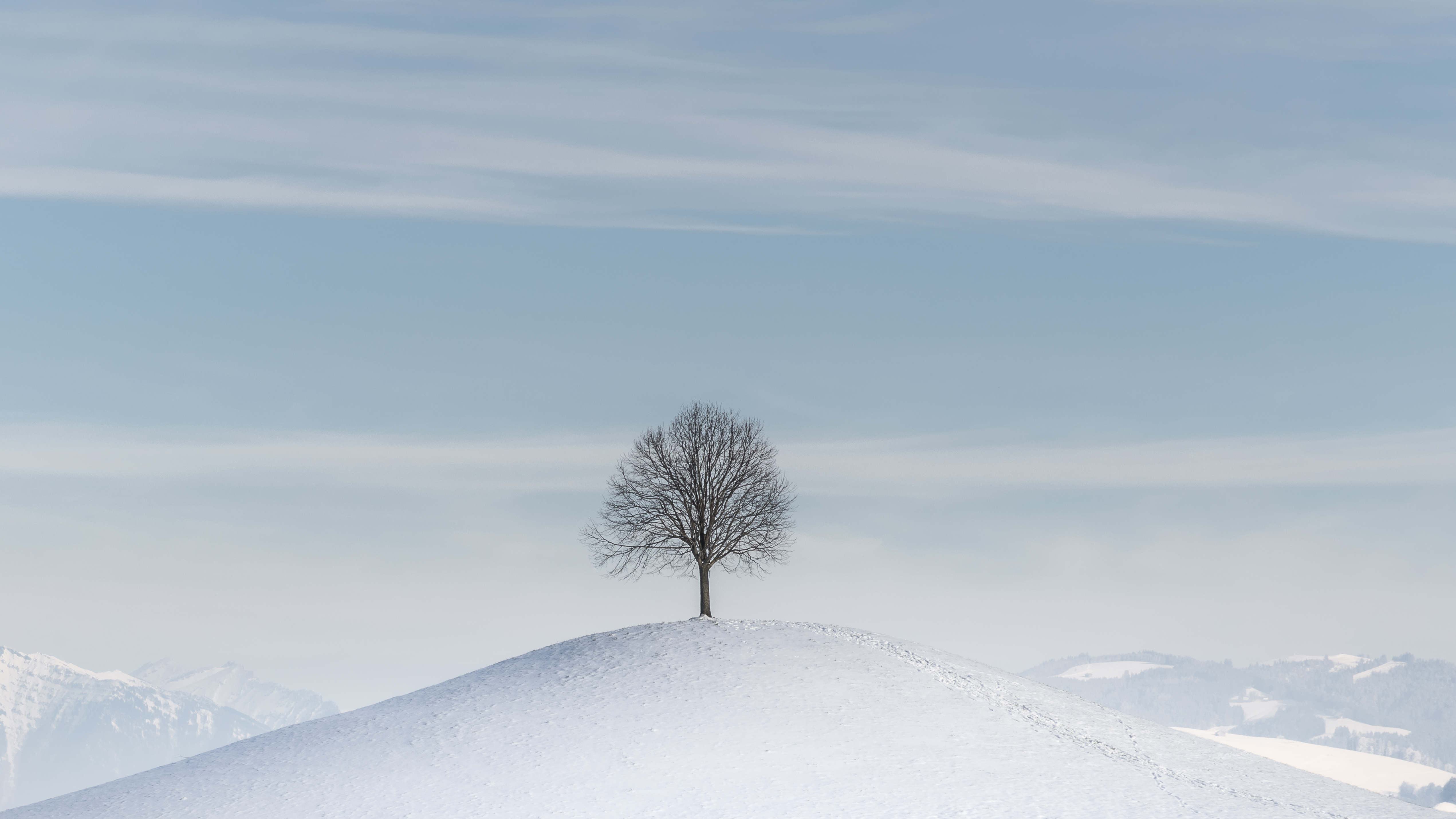 winter, minimalism, snow, wood, tree, hill High Definition image