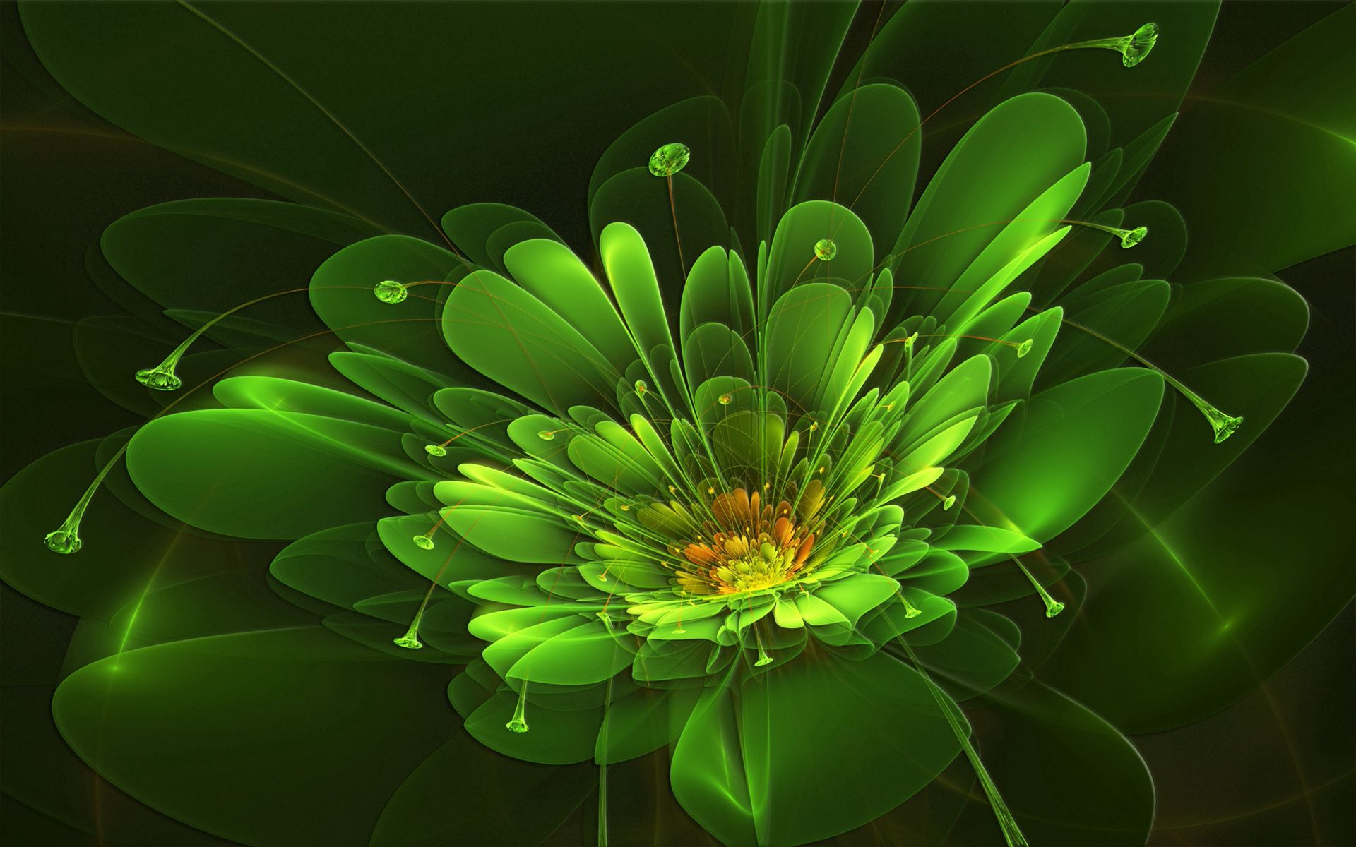light, colorful, abstract, background, green, flower, shine, colourful HD wallpaper