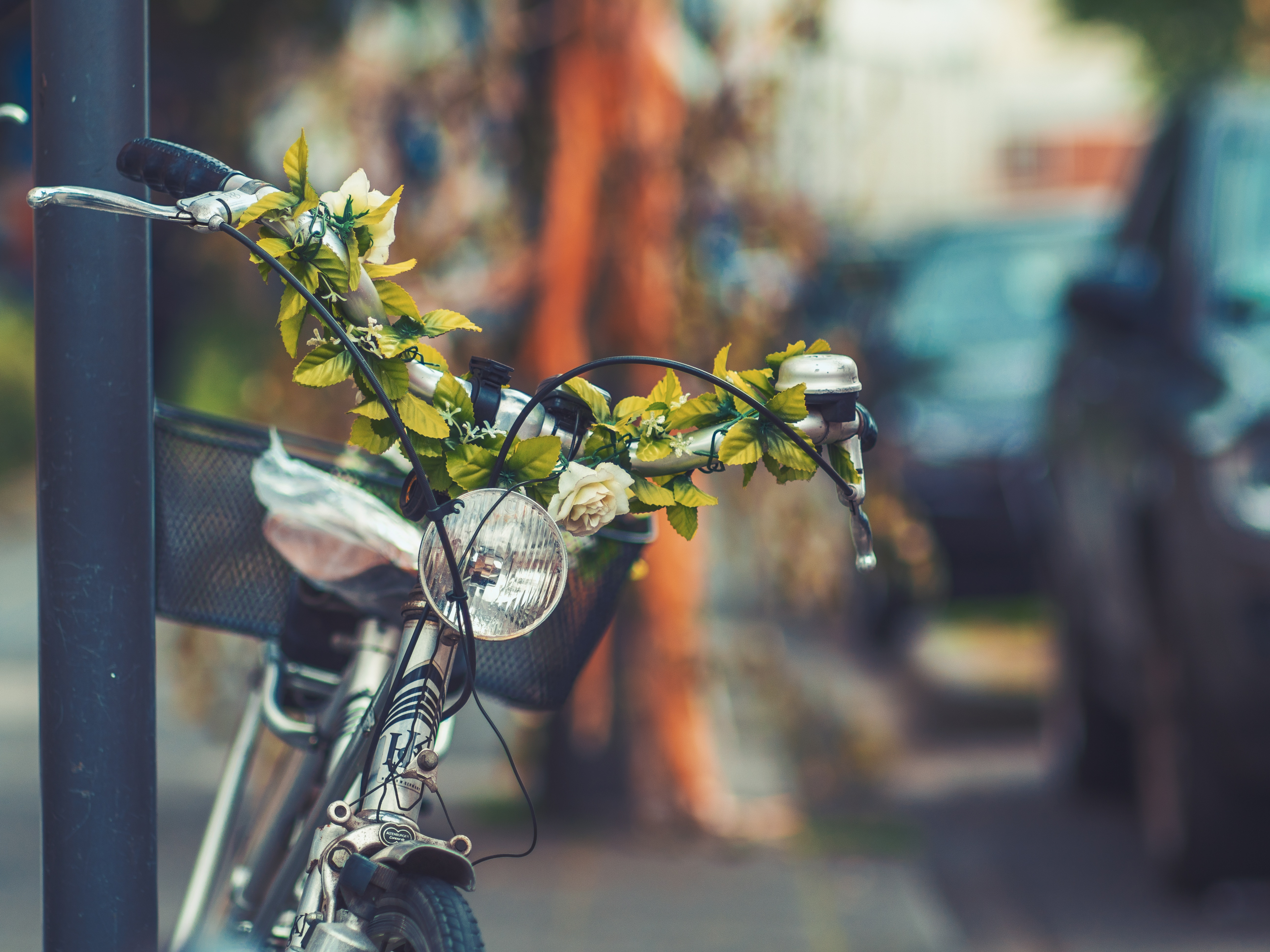 miscellanea, bicycle, flowers, miscellaneous Phone Wallpaper