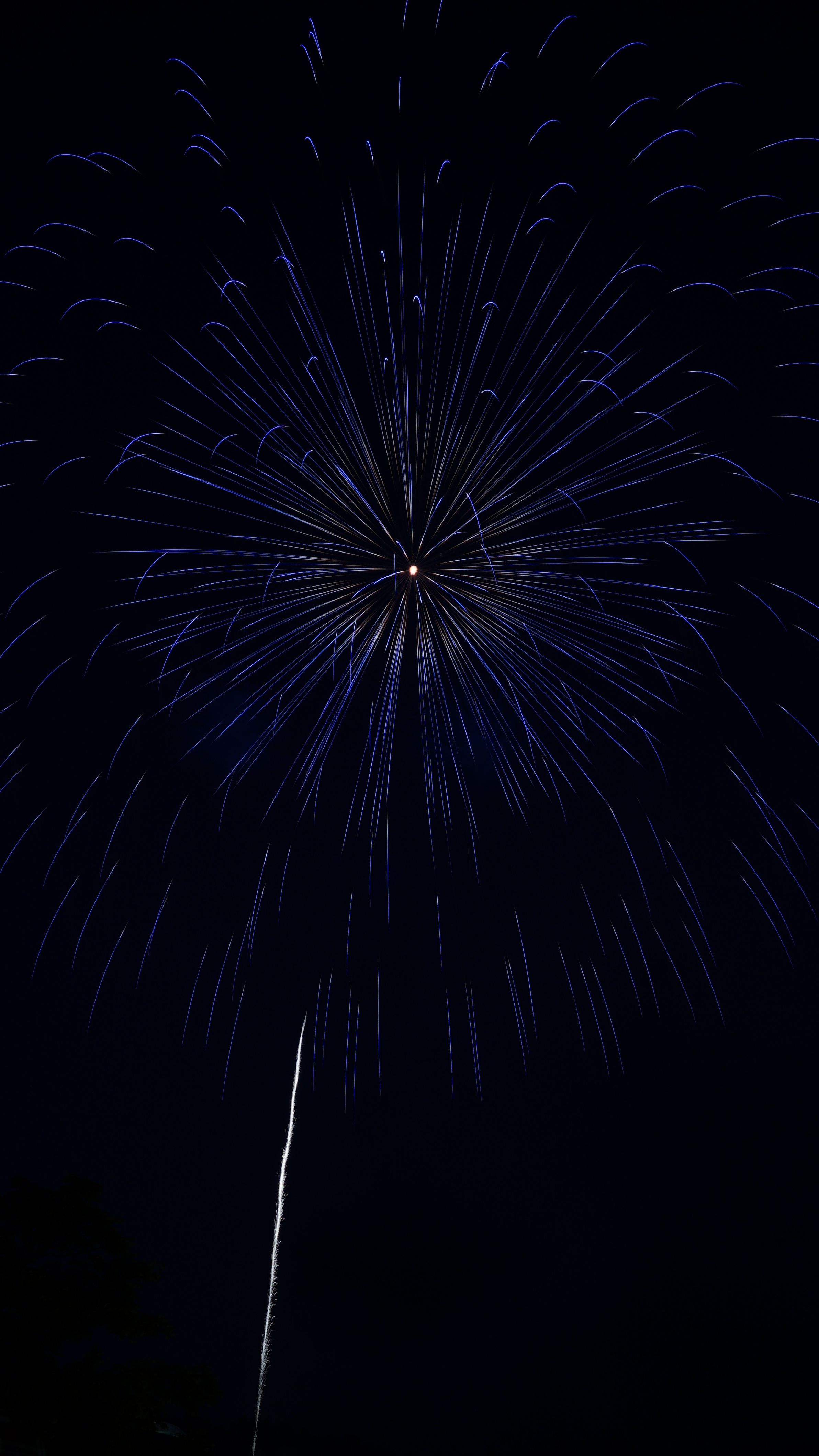 Salute sparks, celebration, holidays, firework 8k Backgrounds