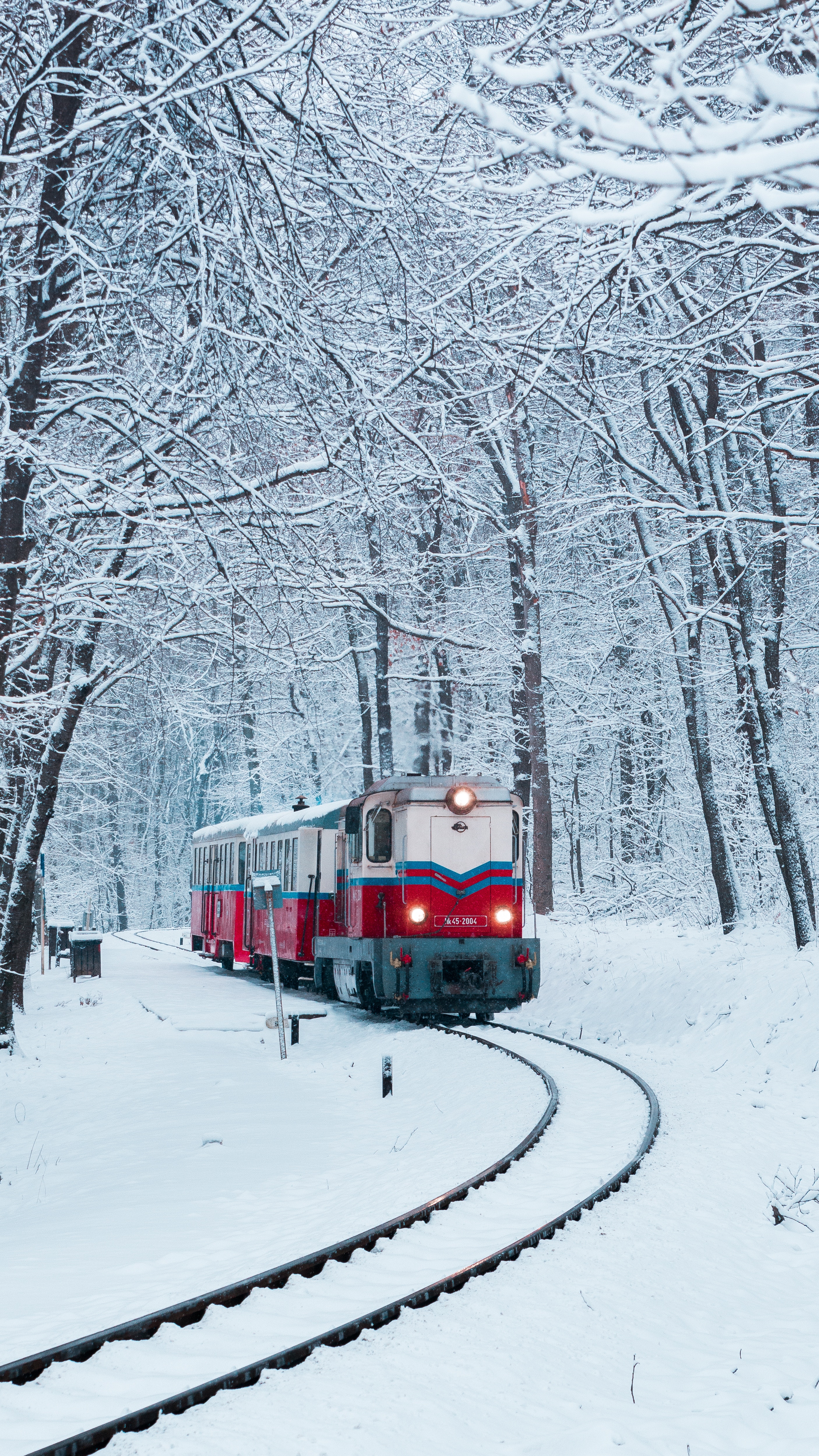 nature, train, railway, snow, forest