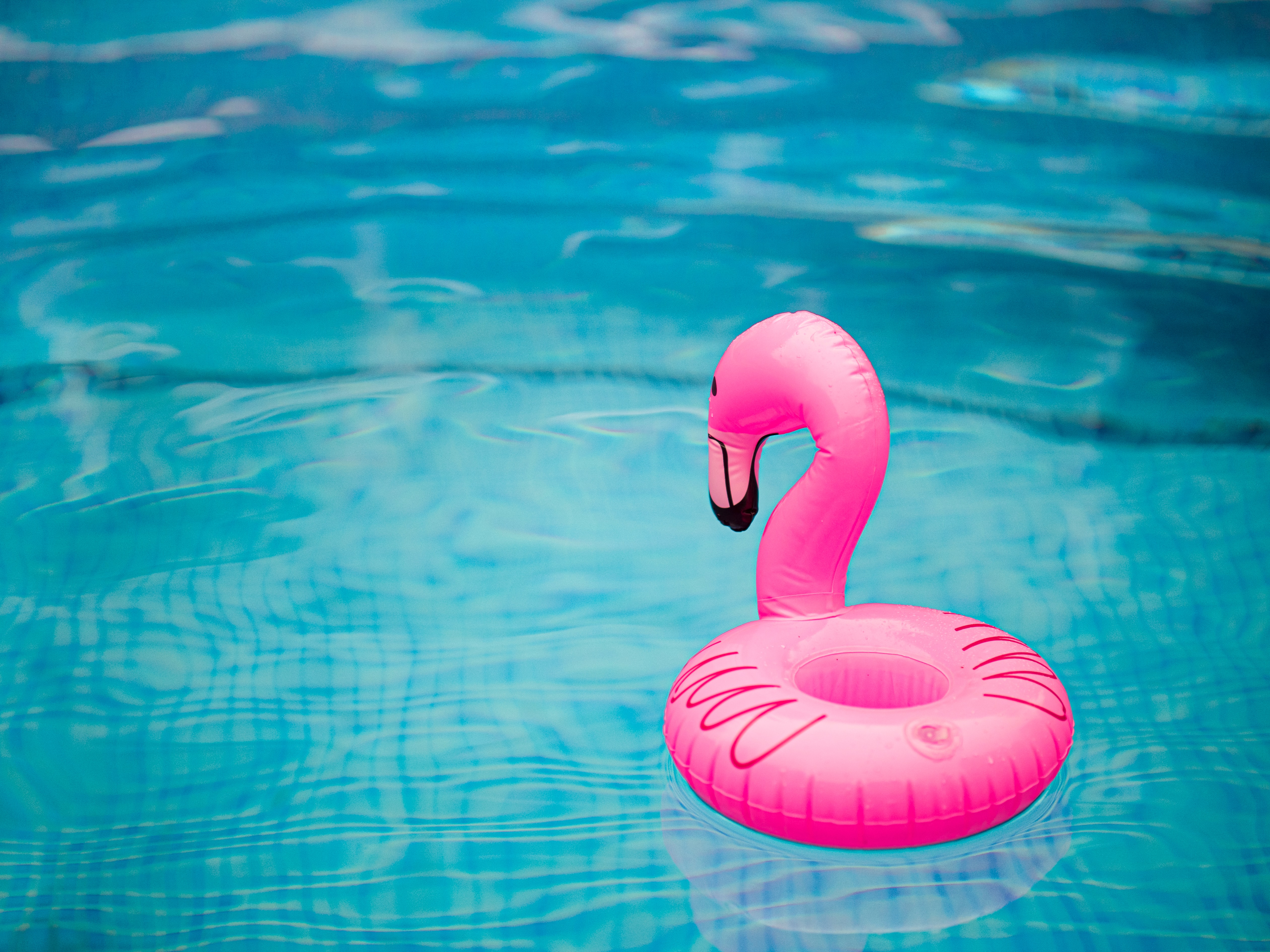 125361 Bild herunterladen wasser, waves, flamingo, verschiedenes, sonstige, pool, schwimmbad, aufblasbarer kreis - Hintergrundbilder und Bildschirmschoner kostenlos