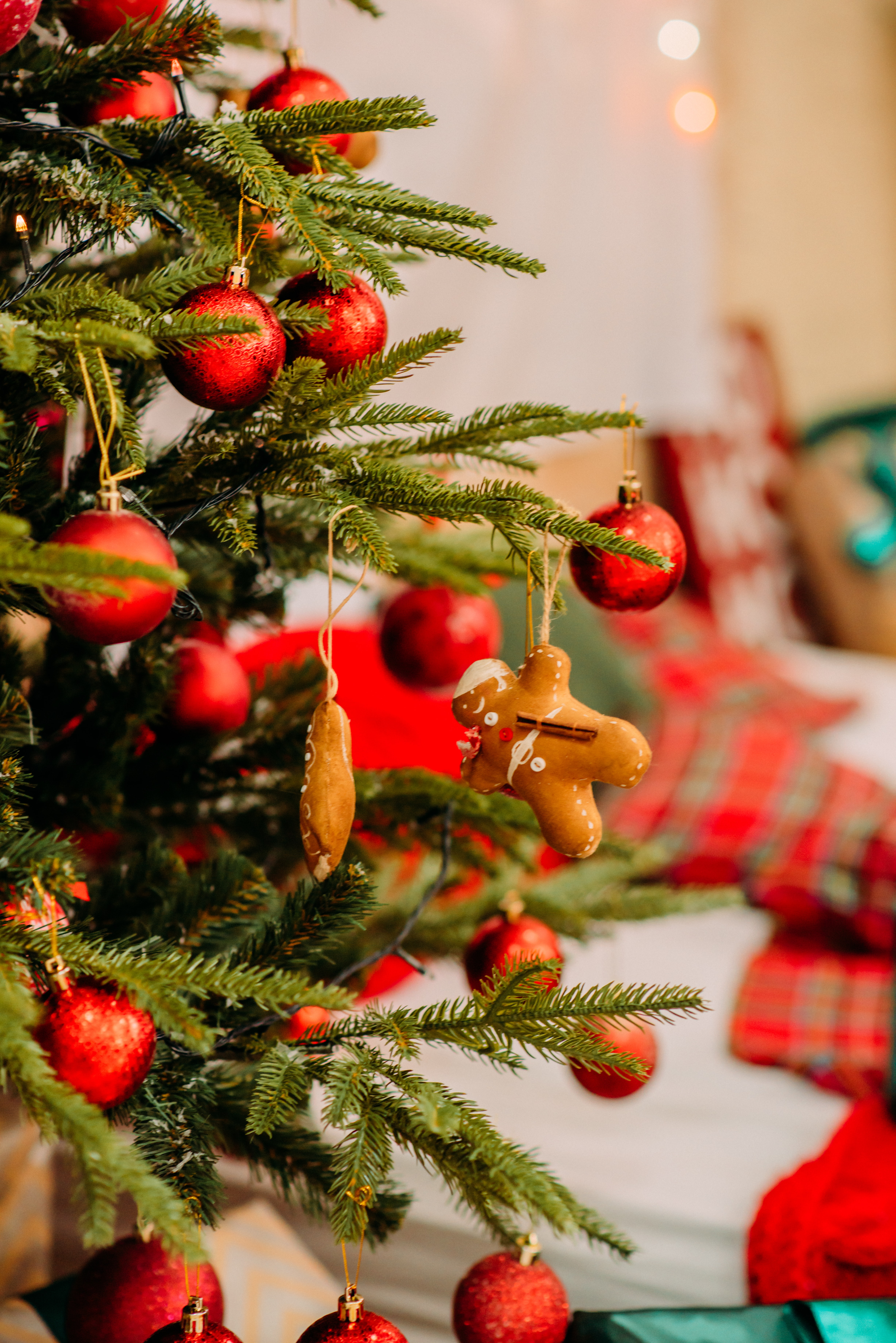 お使いの携帯電話の74343スクリーンセーバーと壁紙クリスマスツリー。 クリスマス, 新年, 祝日, 装飾の写真を無料でダウンロード