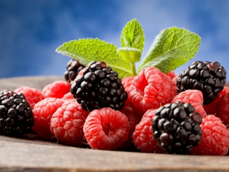 43084 download wallpaper food, plants, raspberry, blackberry screensavers and pictures for free
