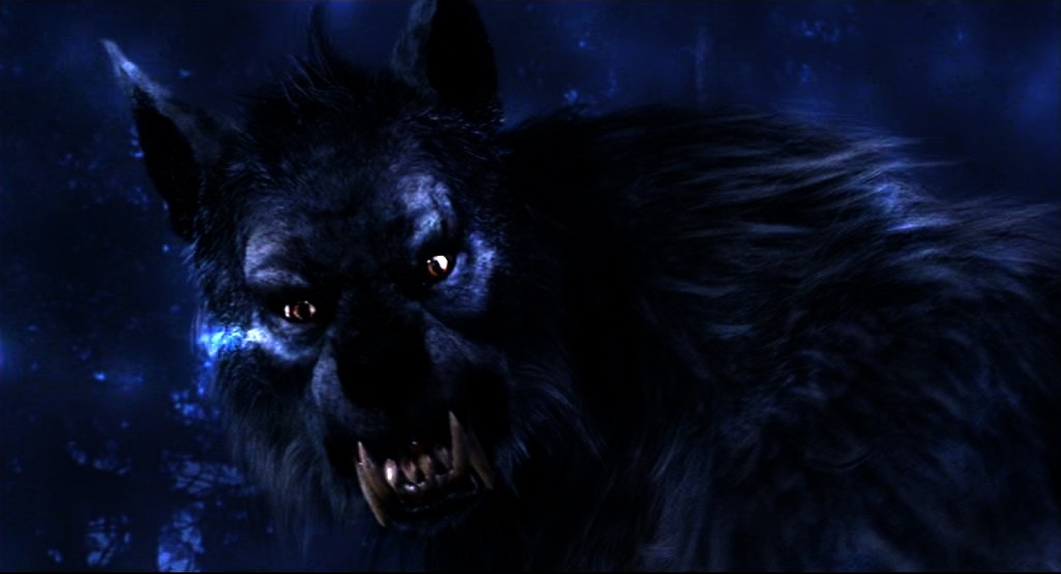 32k Wallpaper Werewolf dark