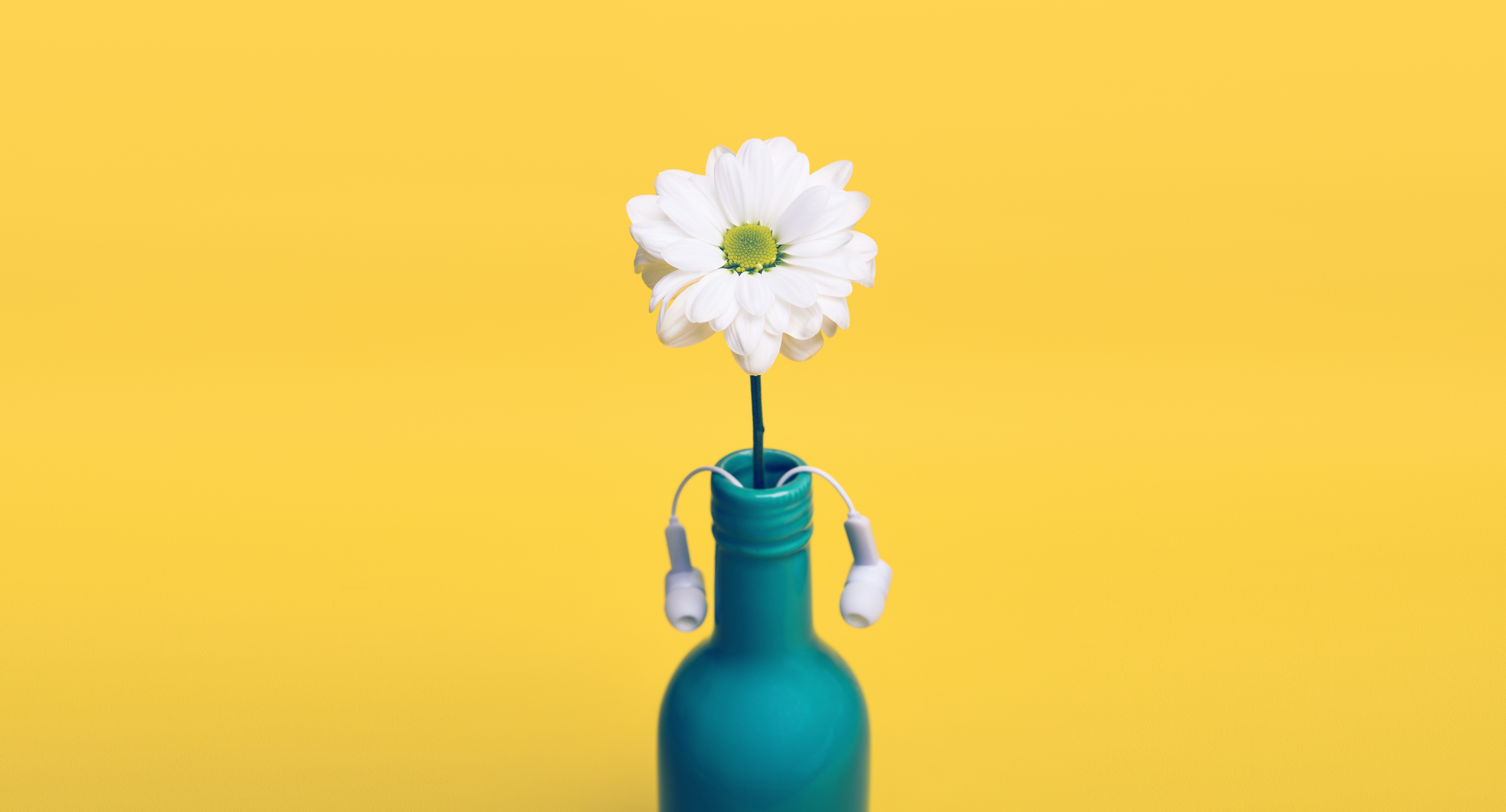 headphones, minimalism, daisy, bottle