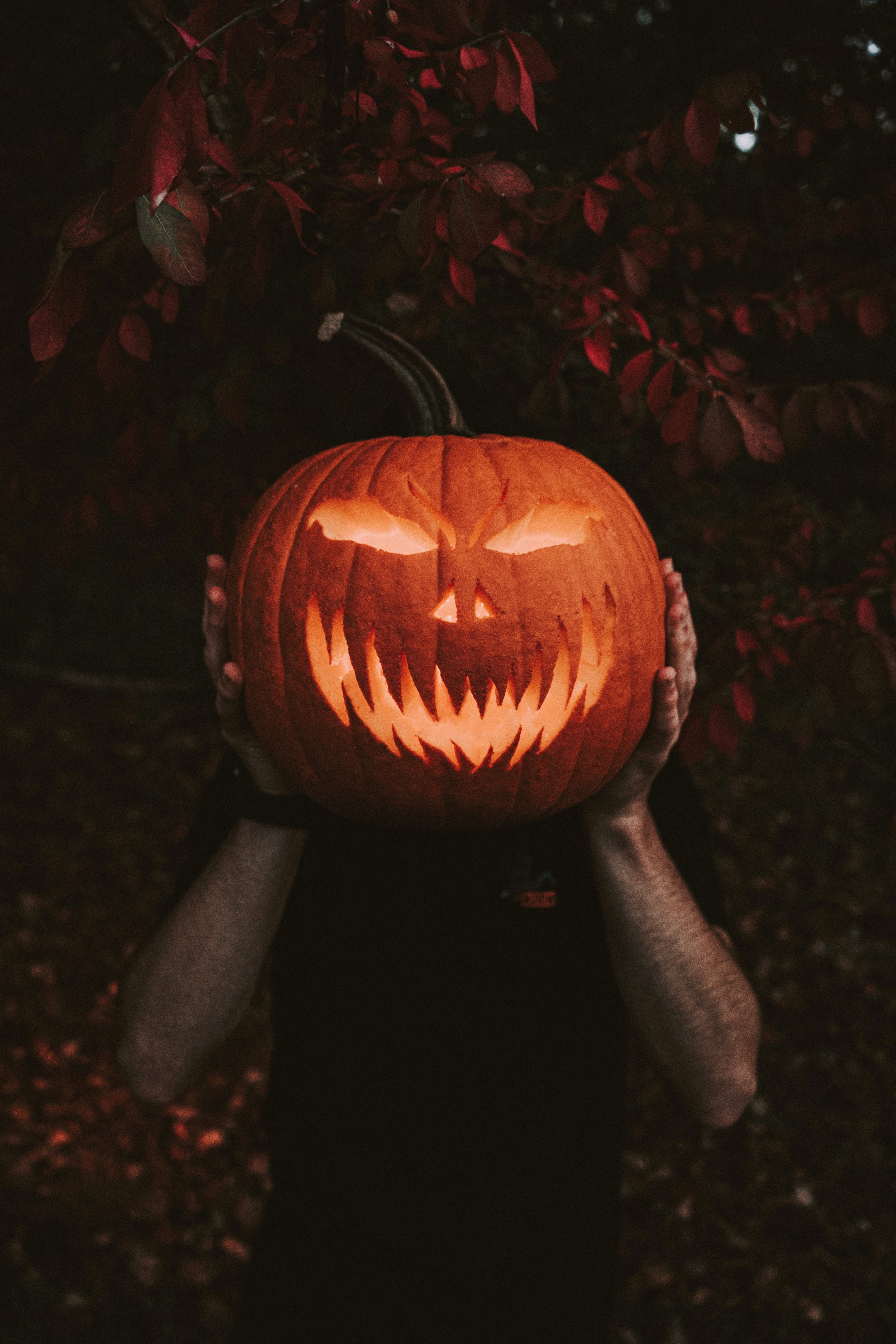 77413 Bildschirmschoner und Hintergrundbilder Halloween auf Ihrem Telefon. Laden Sie hände, verschiedenes, kürbis, sonstige Bilder kostenlos herunter