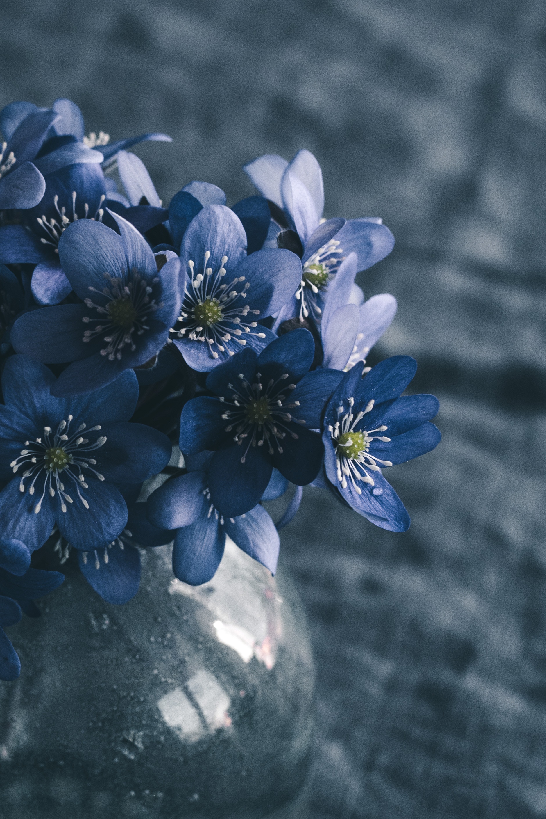 Laden Sie das Frühling, Blumen, Makro, Strauß, Bouquet-Bild kostenlos auf Ihren PC-Desktop herunter