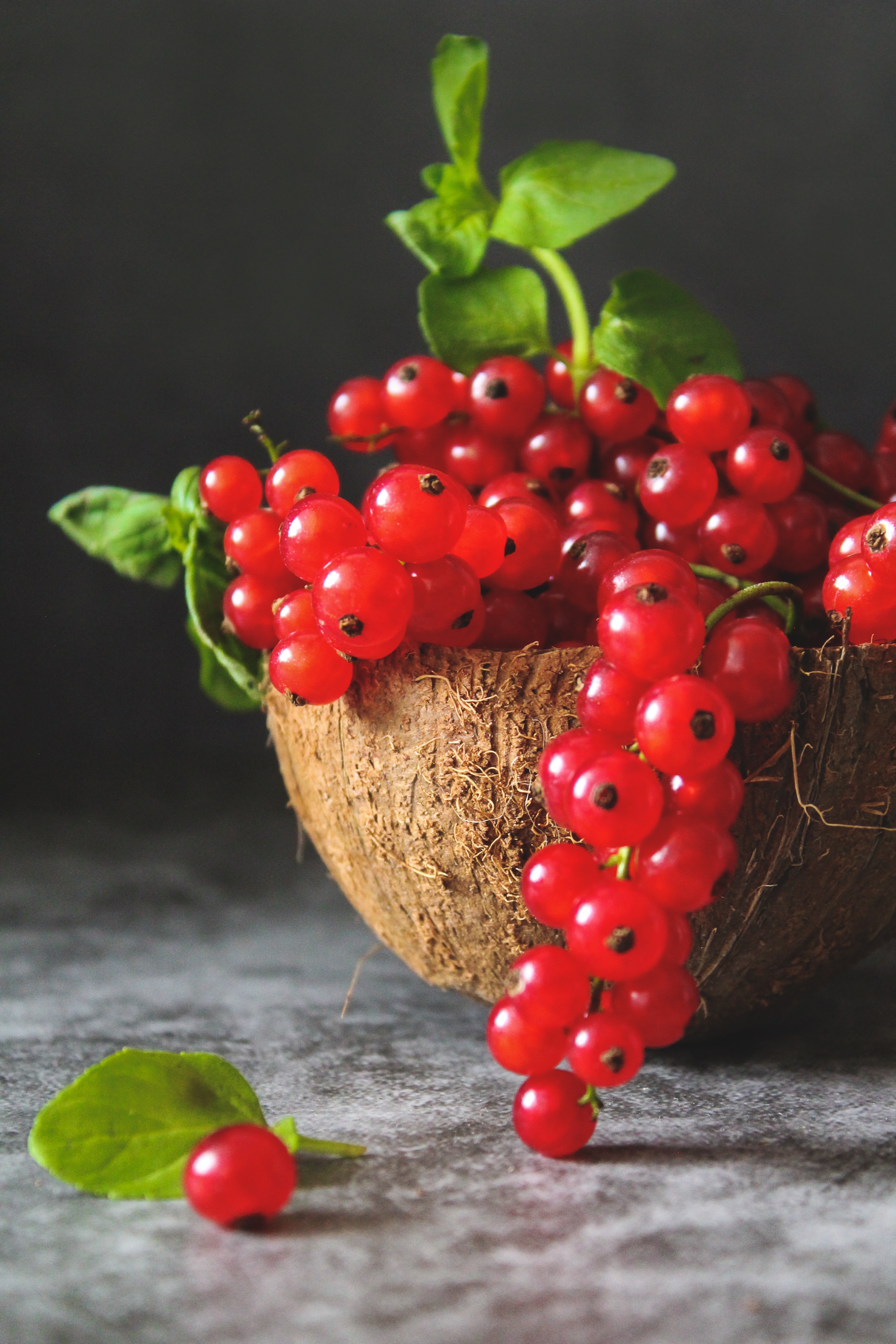 berry, currant, food, leaves, red, fruit for android