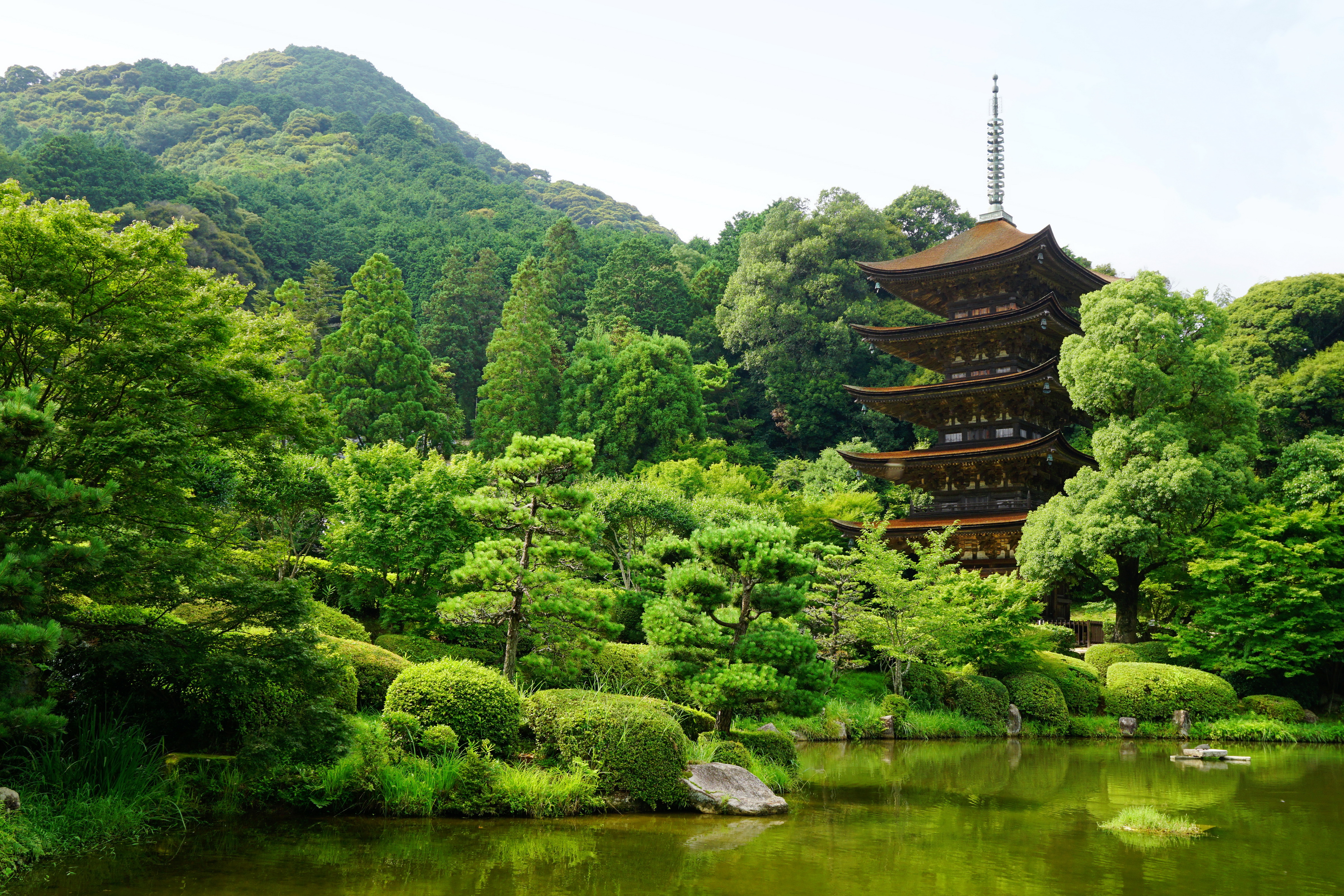 106029 Bildschirmschoner und Hintergrundbilder Japan auf Ihrem Telefon. Laden Sie natur, bäume, japan, teich, yamaguchi Bilder kostenlos herunter