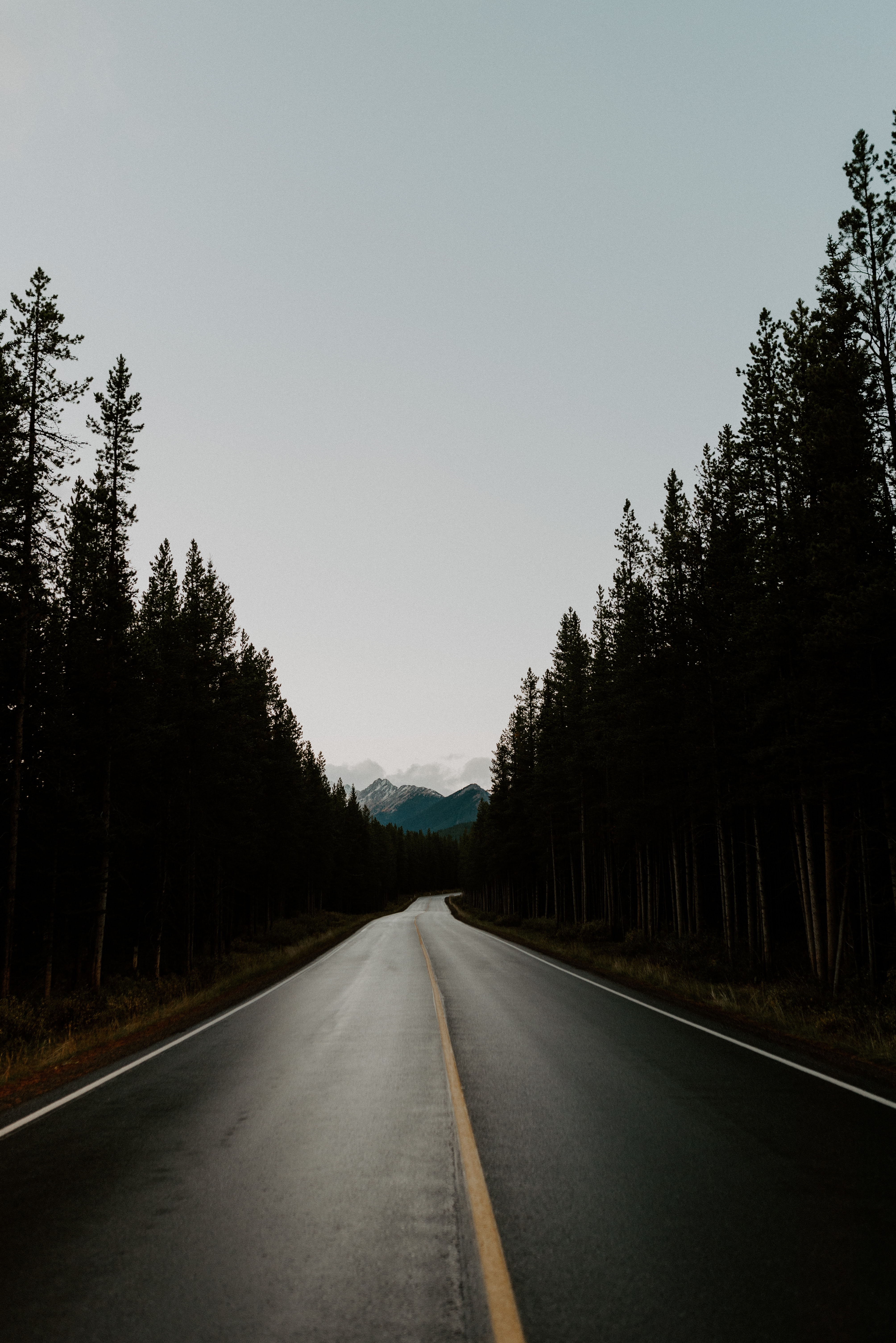 Mobile HD Wallpaper Distance sky, nature, trees, road