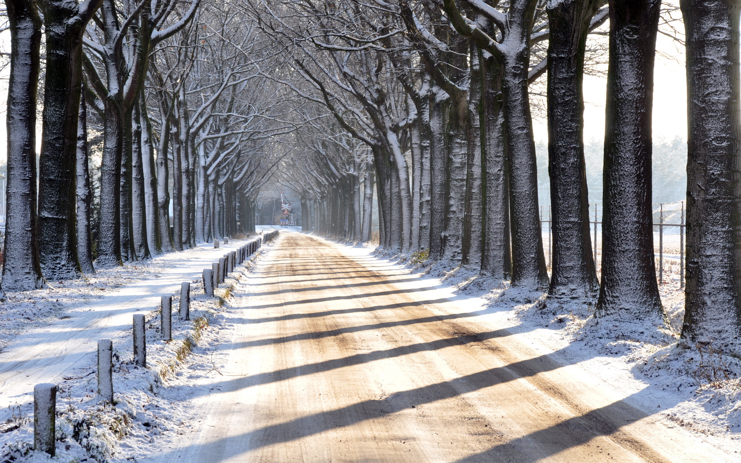 Дорога без снега. Зимняя аллея. Зимний парк. Заснеженная дорога. Зимний парк дорога.