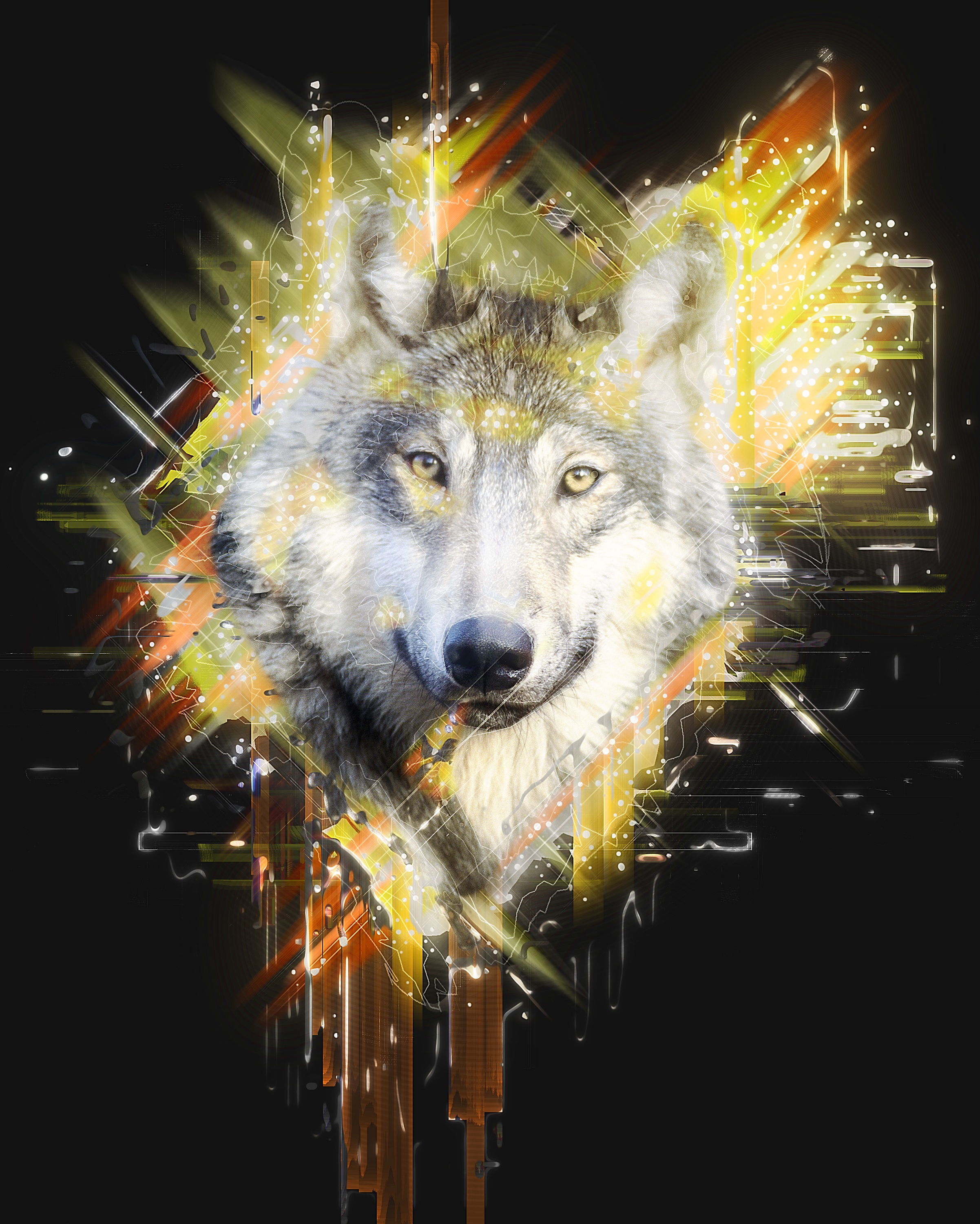 74476 Hintergrundbild herunterladen wolf, raubtier, kunst, schnauze, predator - Bildschirmschoner und Bilder kostenlos