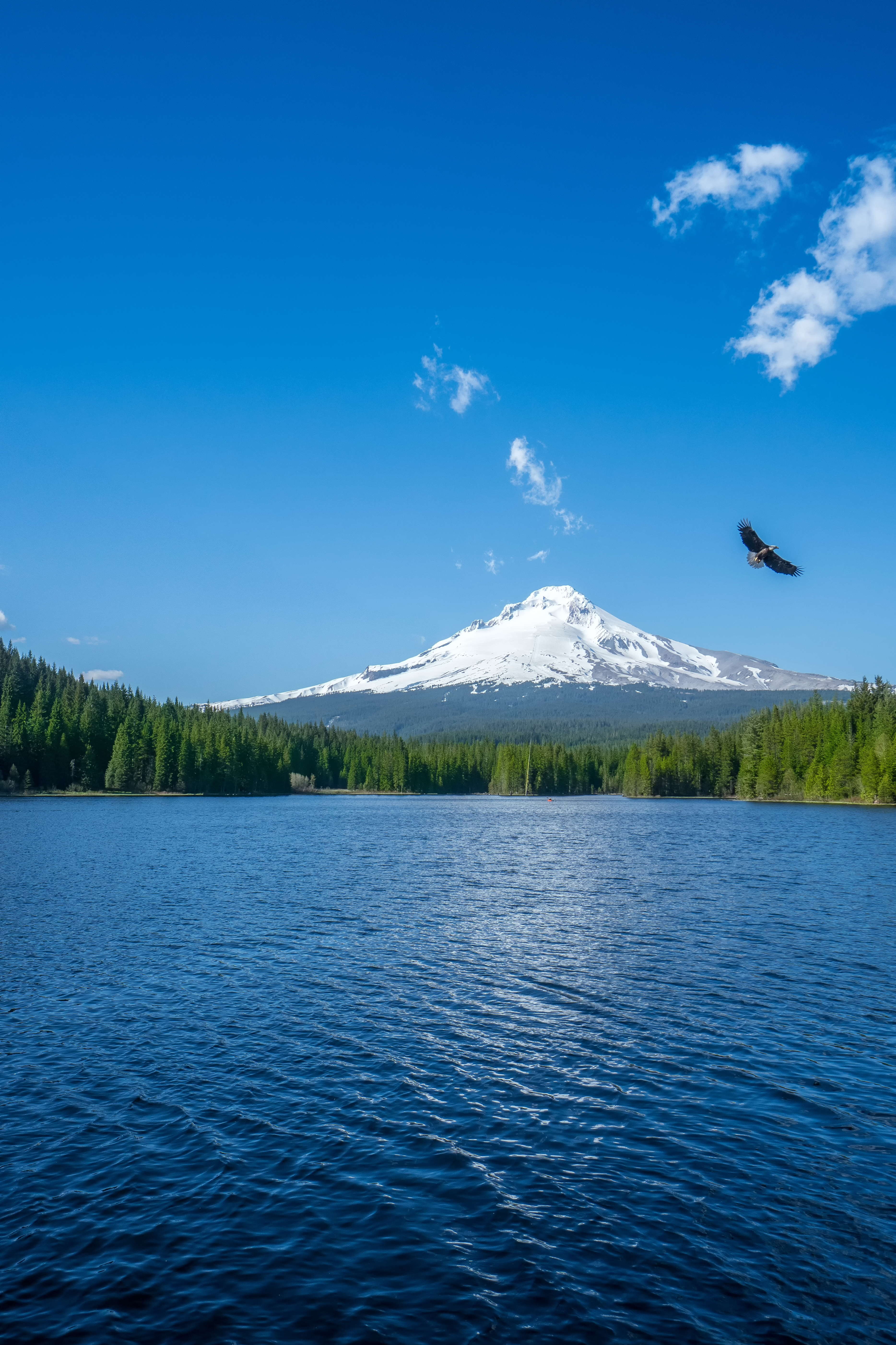 mountain, nature, sky, horizon, lake, bird Smartphone Background